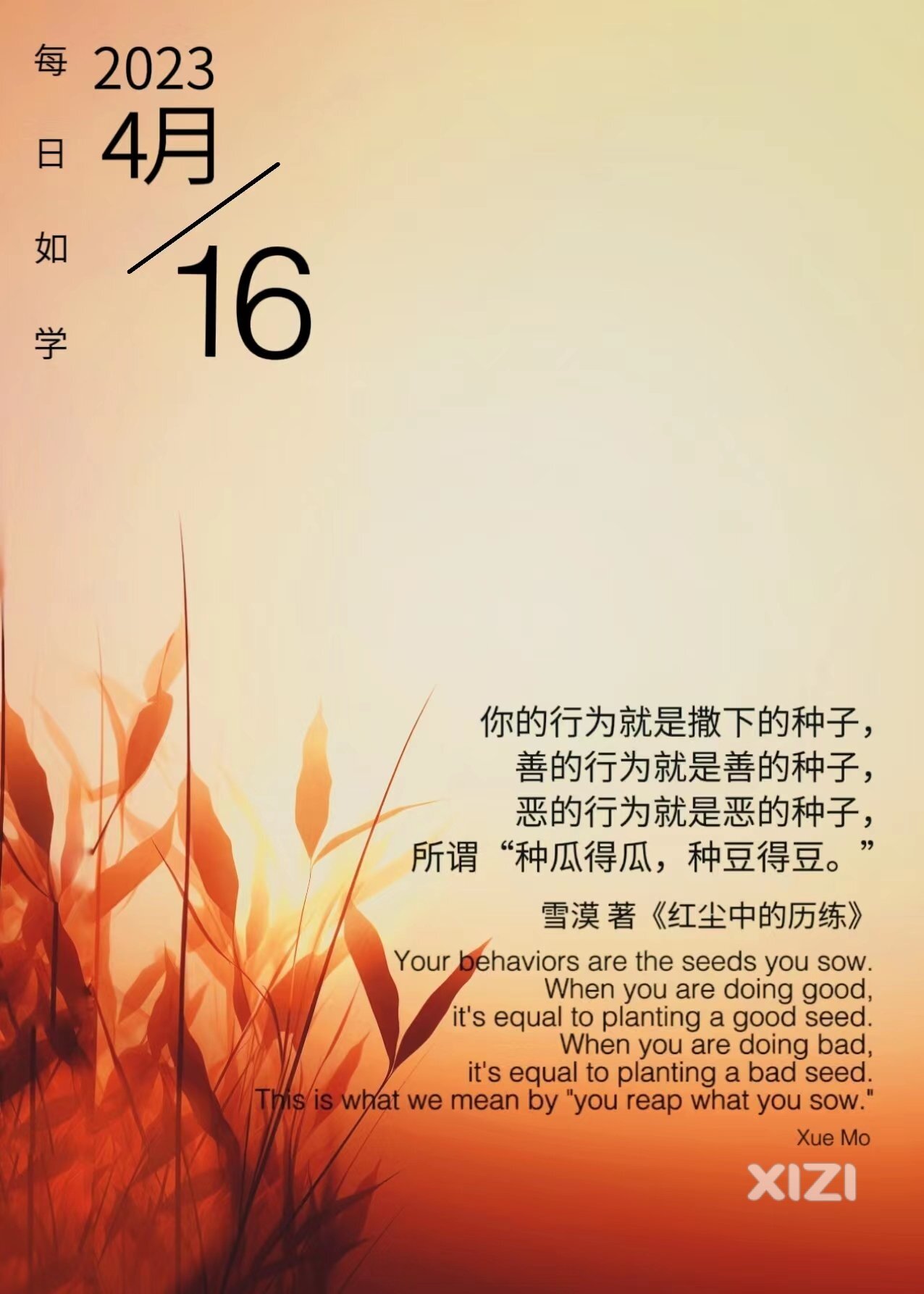雪语1236