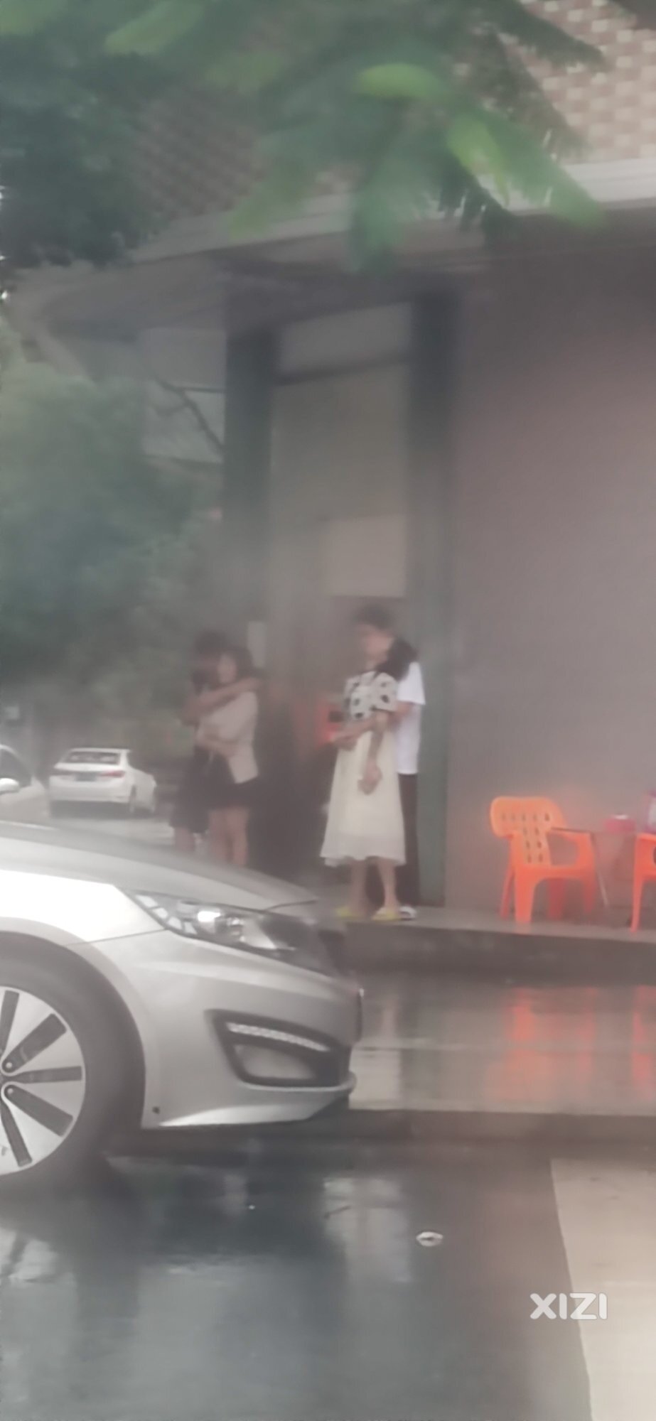 撒狗粮了