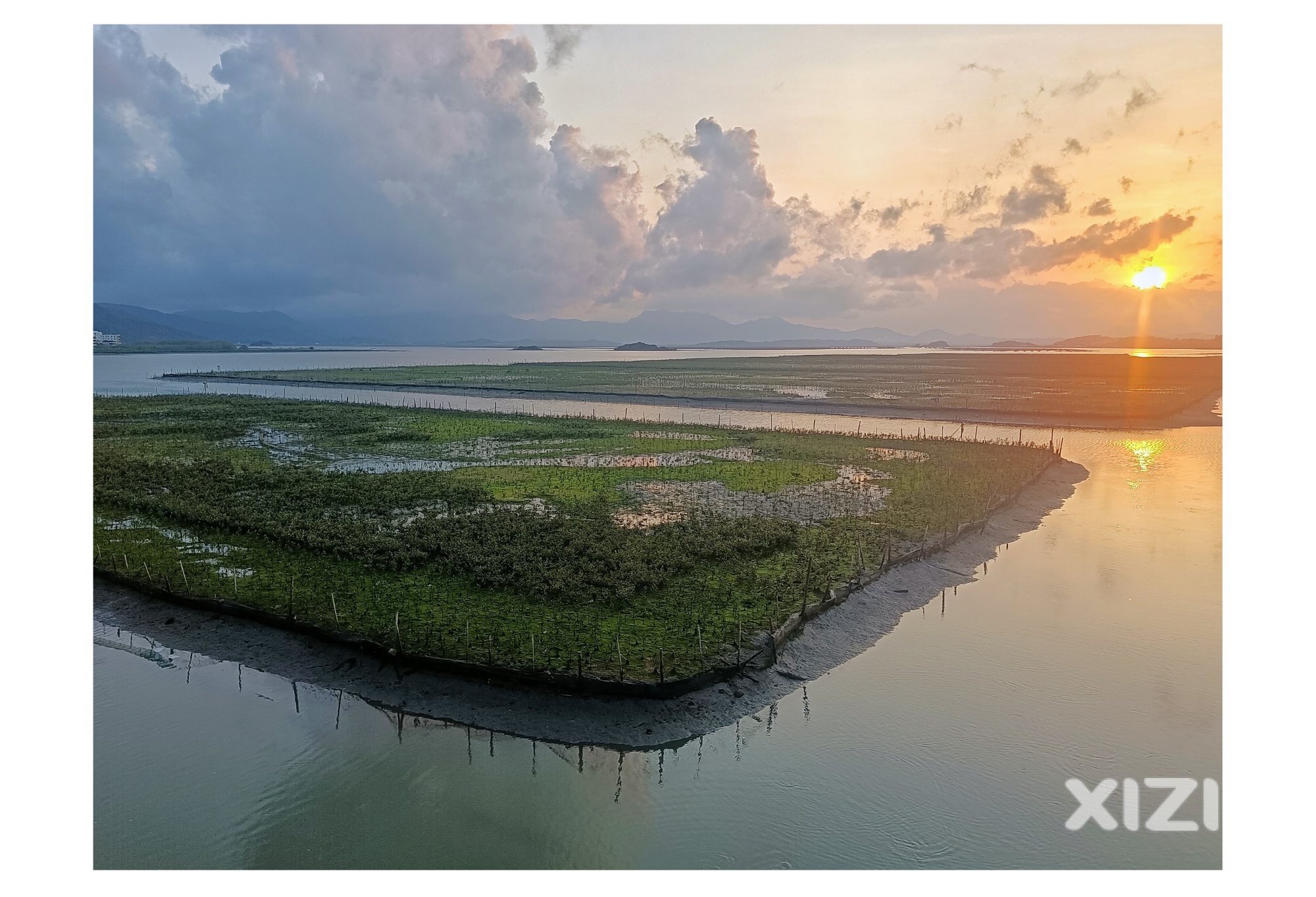 盐洲大桥的风景