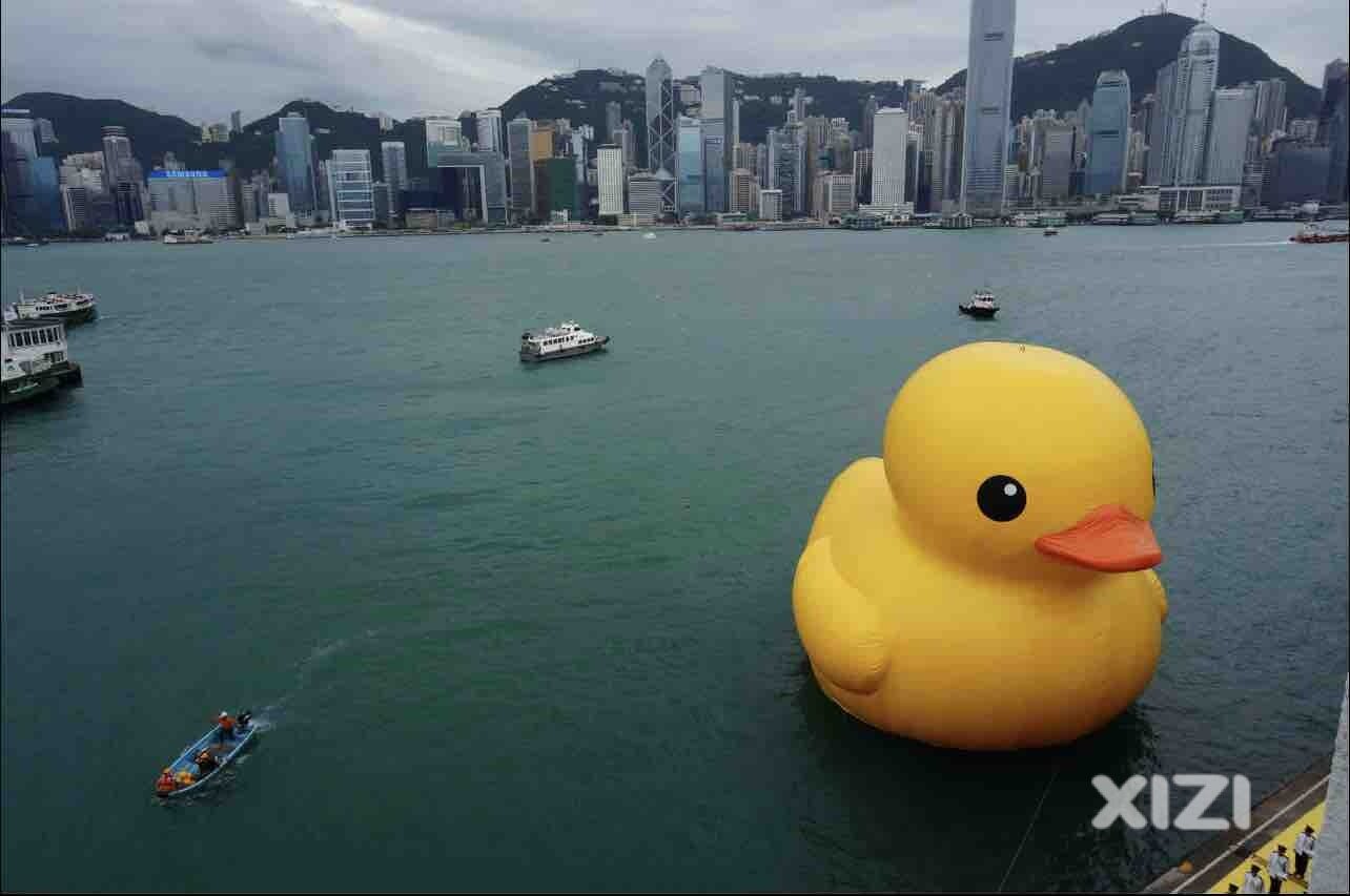 十年了