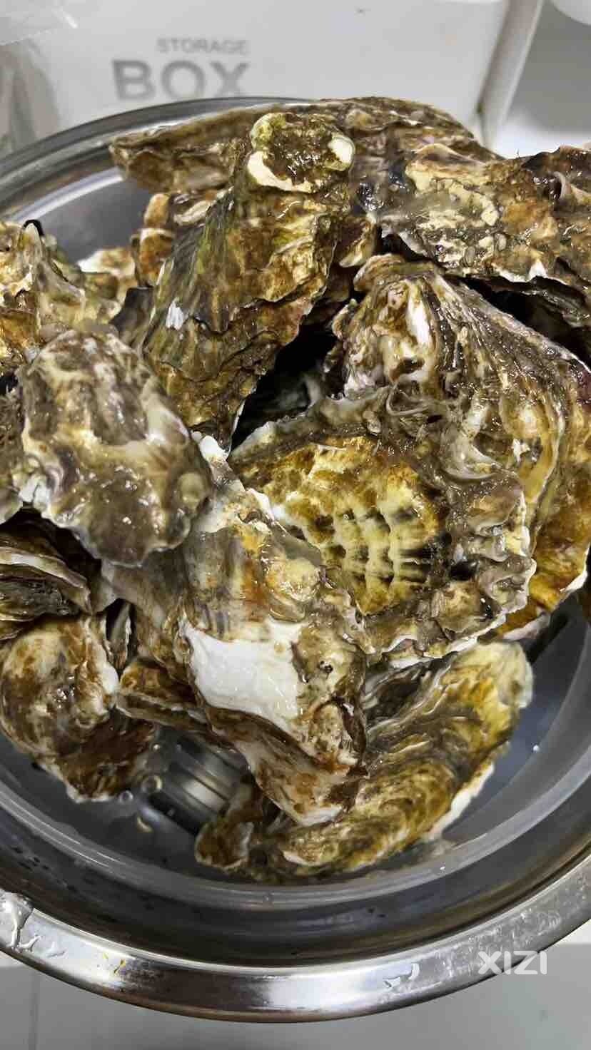 买点生蚝，清蒸……