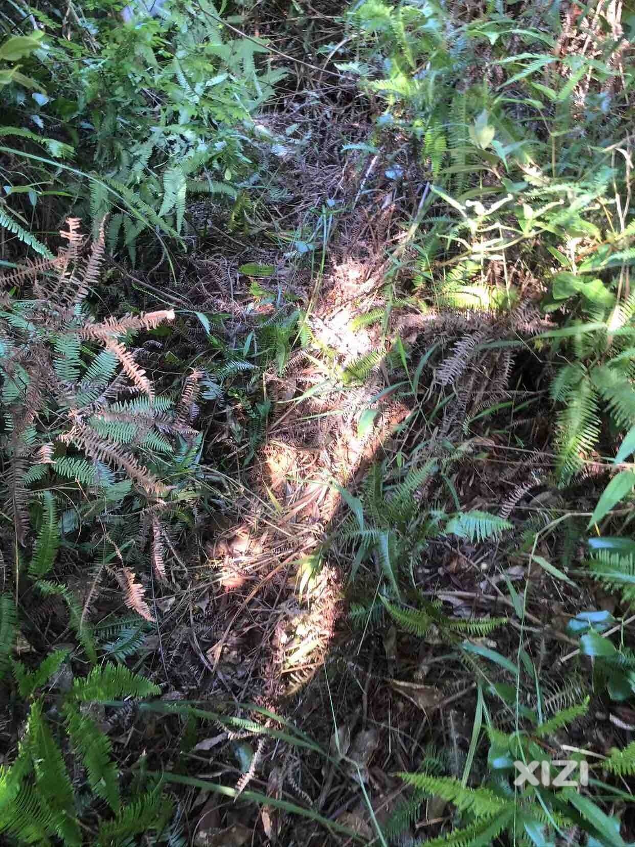 确认过眼神，我是农村人