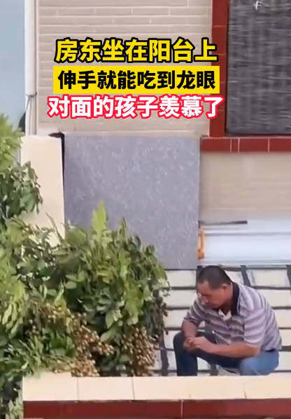 坐阳台上吃着龙眼