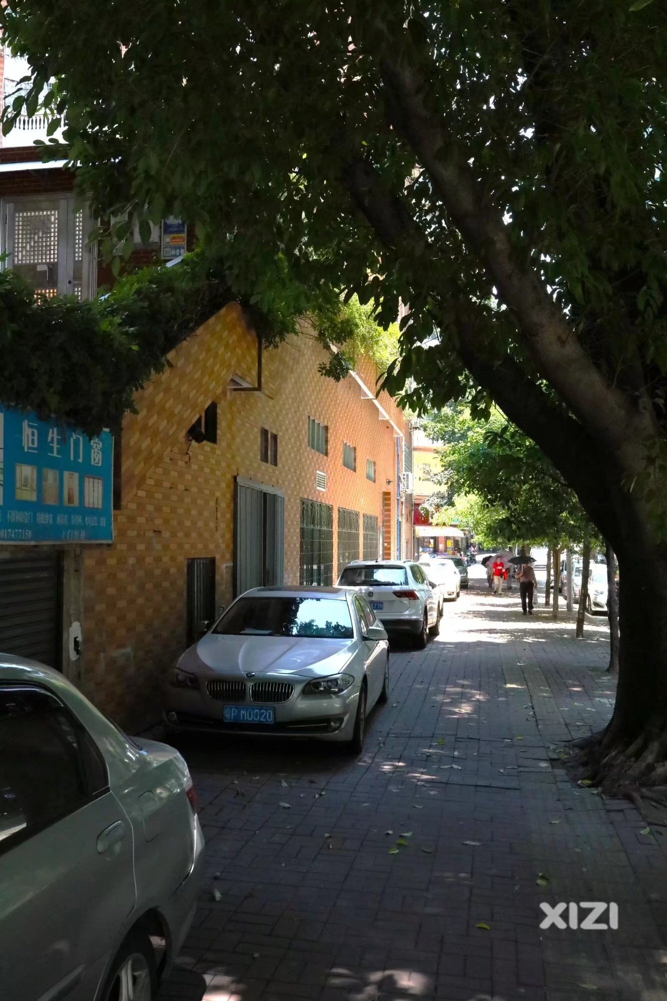 伏天也有不那么热的地
