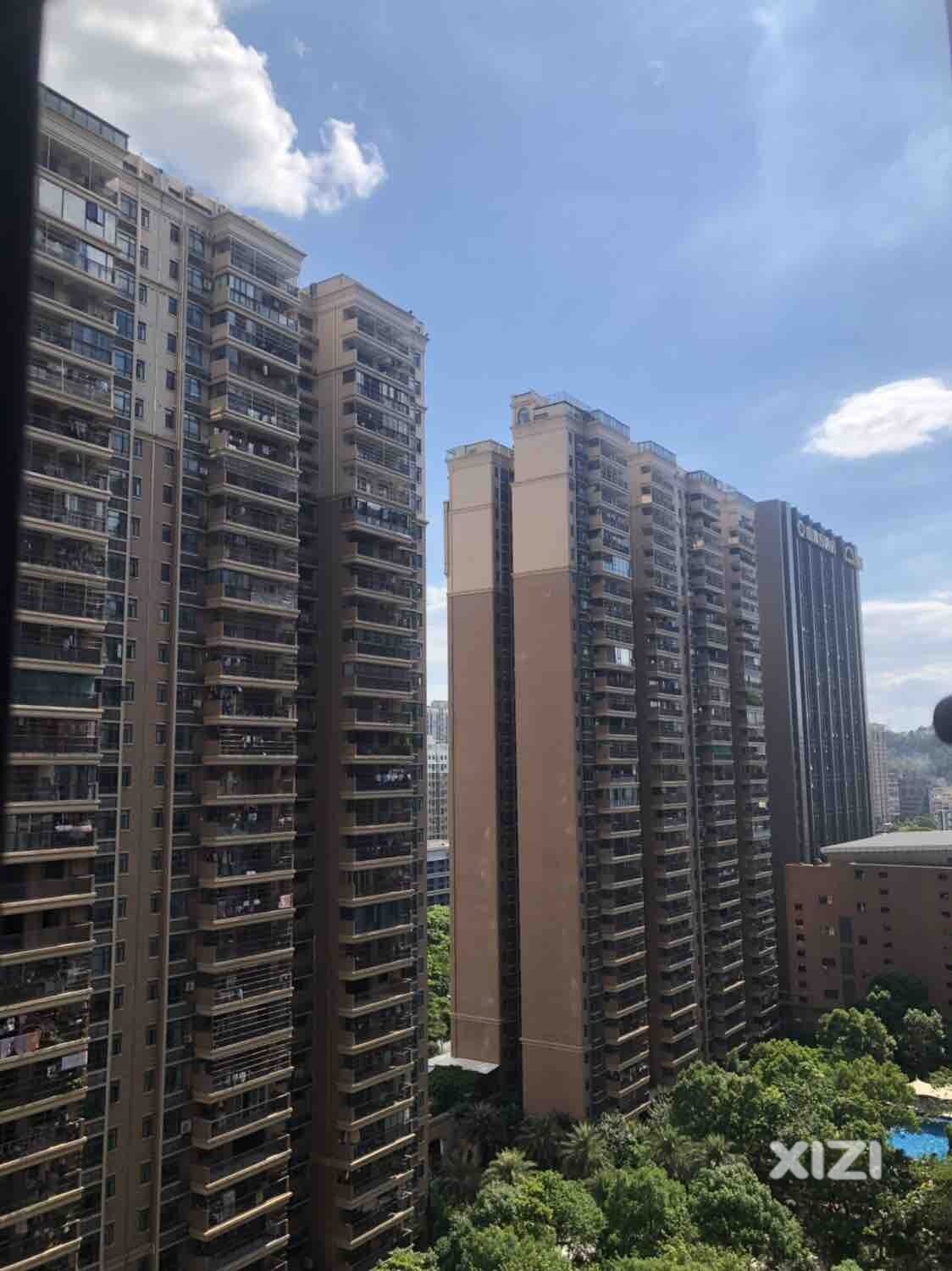 广东的台风在网上刮了几天了…