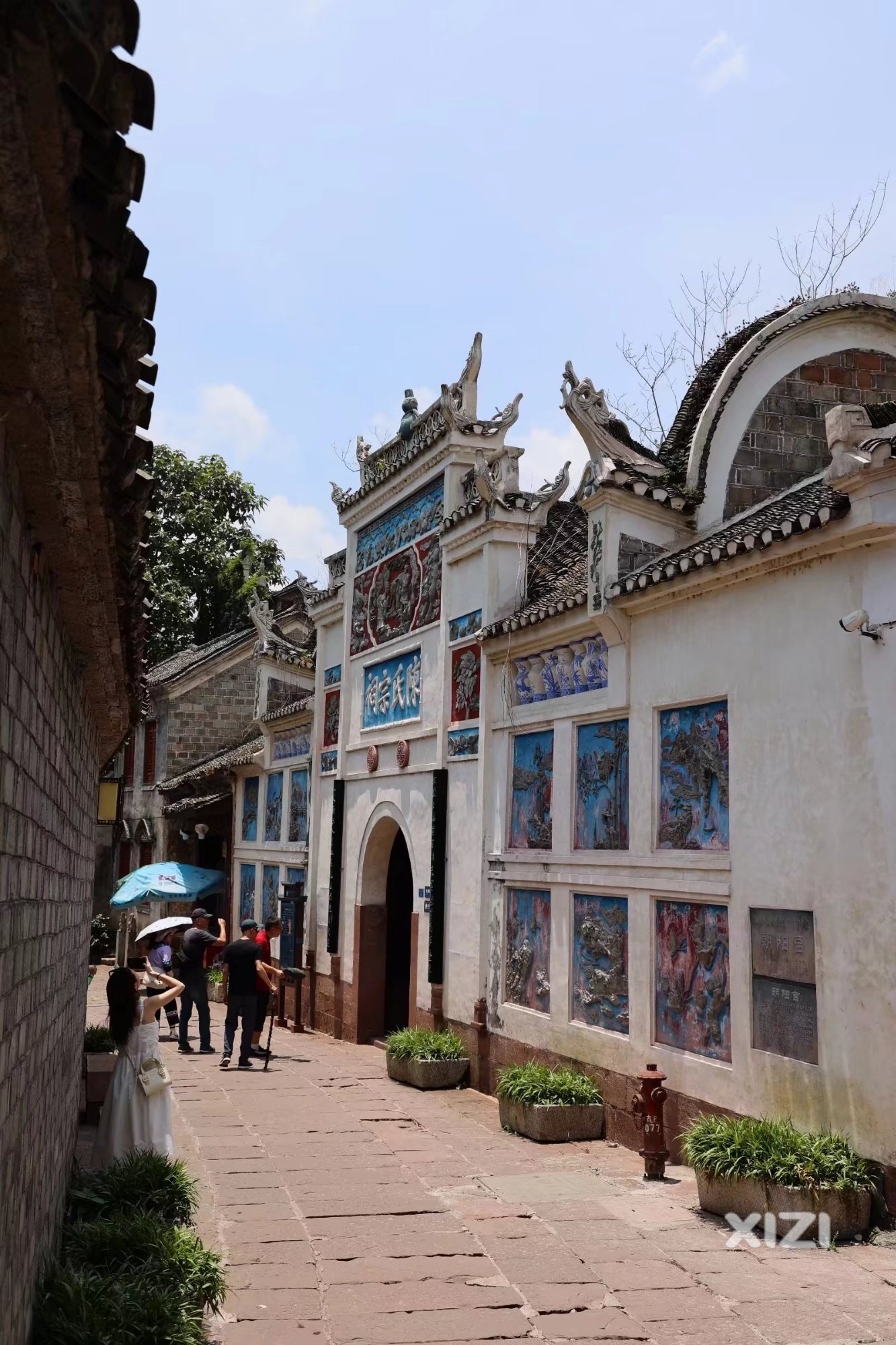 管中规豹凤凰城