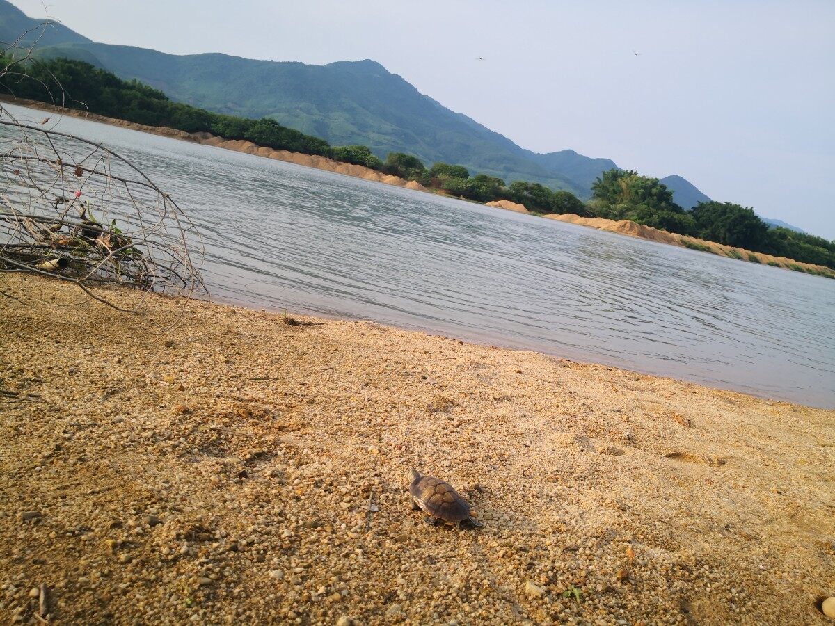 再游九龙峰凤岗村段西枝江，新路已通，谭公过去更方便