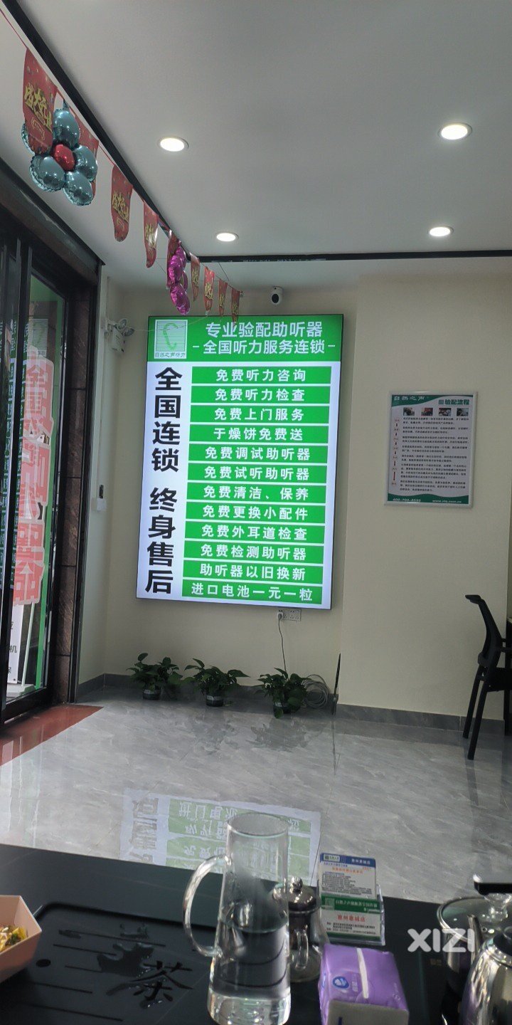 自然之声助听器  帮扶听障人群