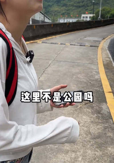 心眼很大，不过牌子太小了