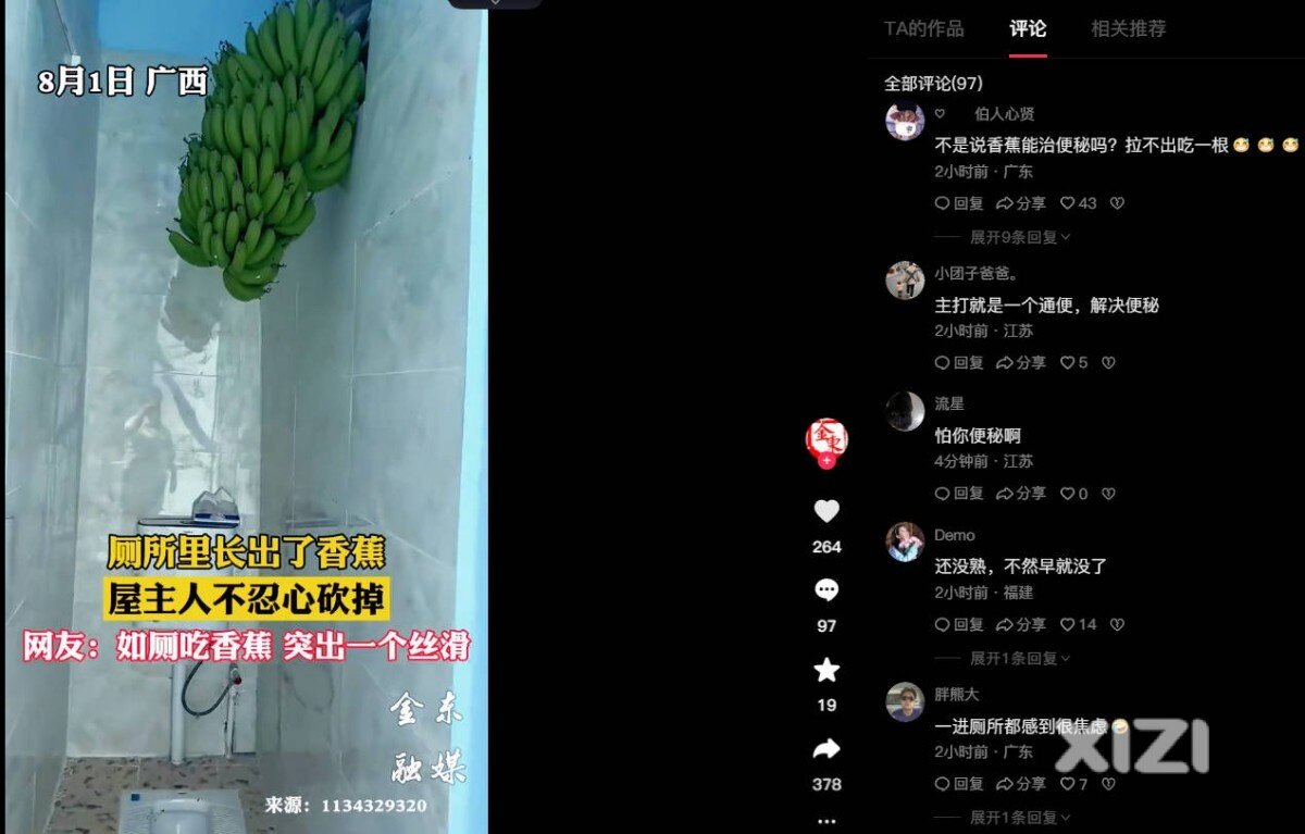 有排面的