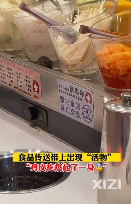 鸭脖从碗里跑出来