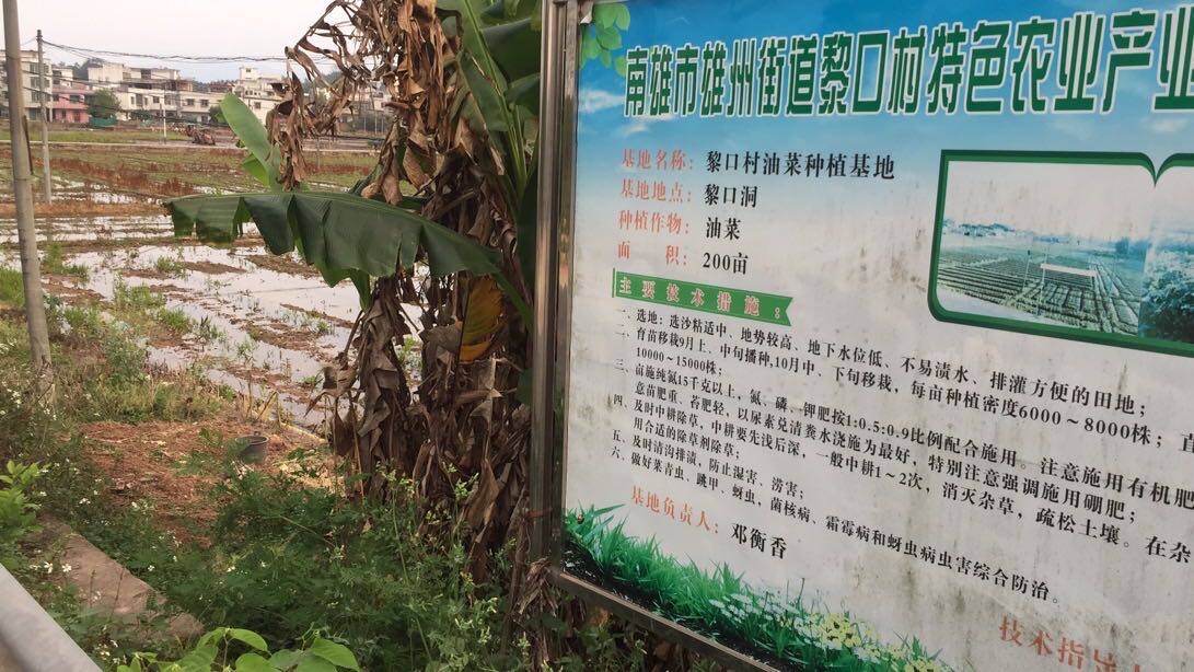 維周亭  與  植楨中學