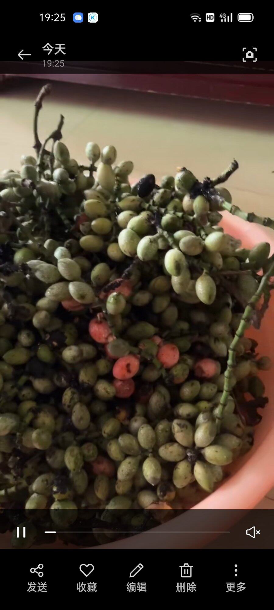 深山老林深涧沟中寻的
