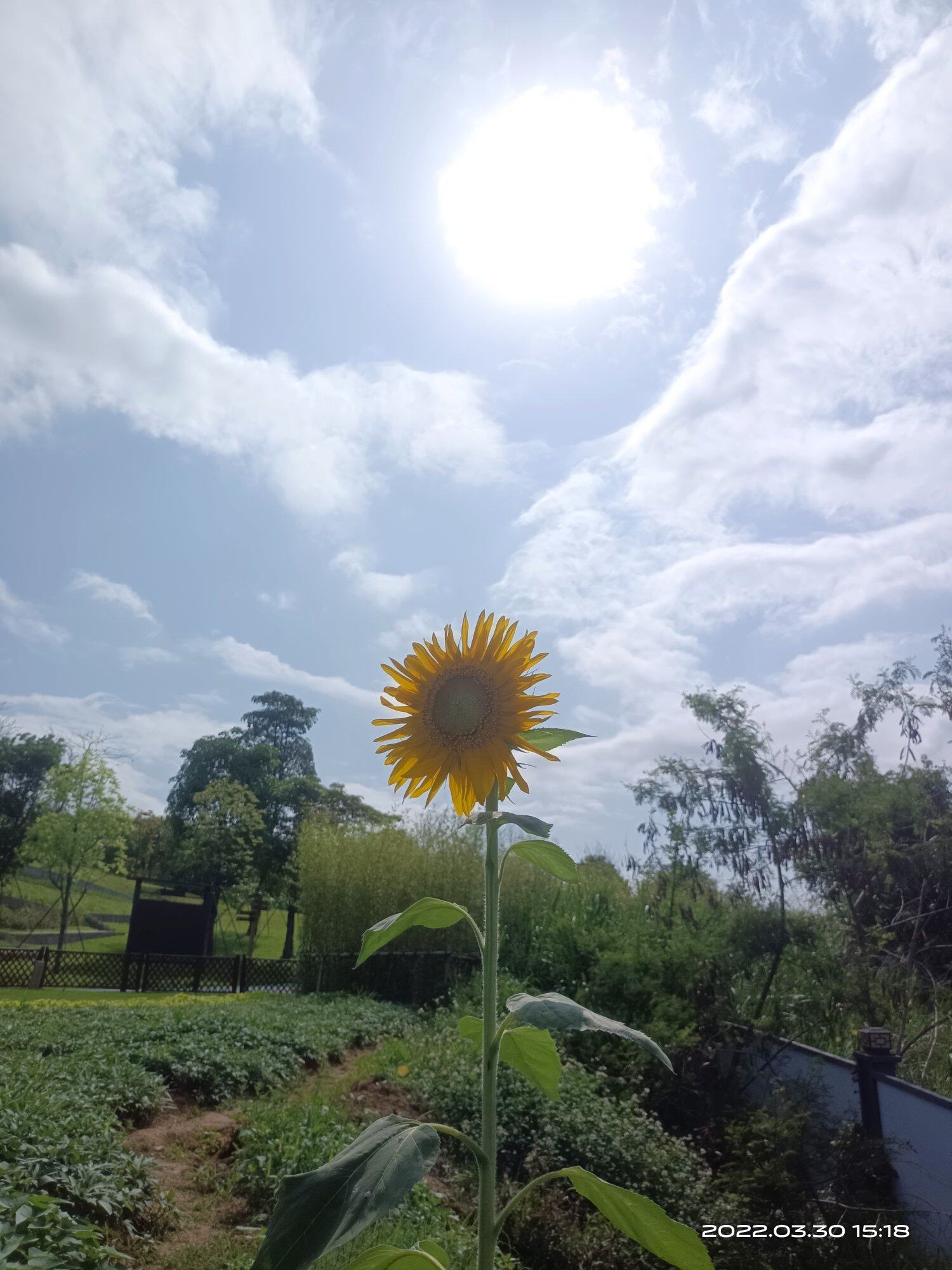 恋爱和婚姻，