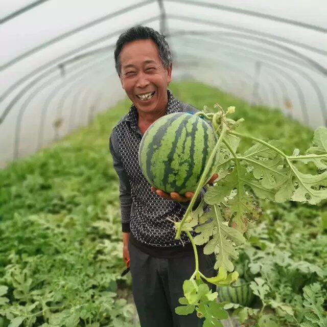 把瓜放上台啊