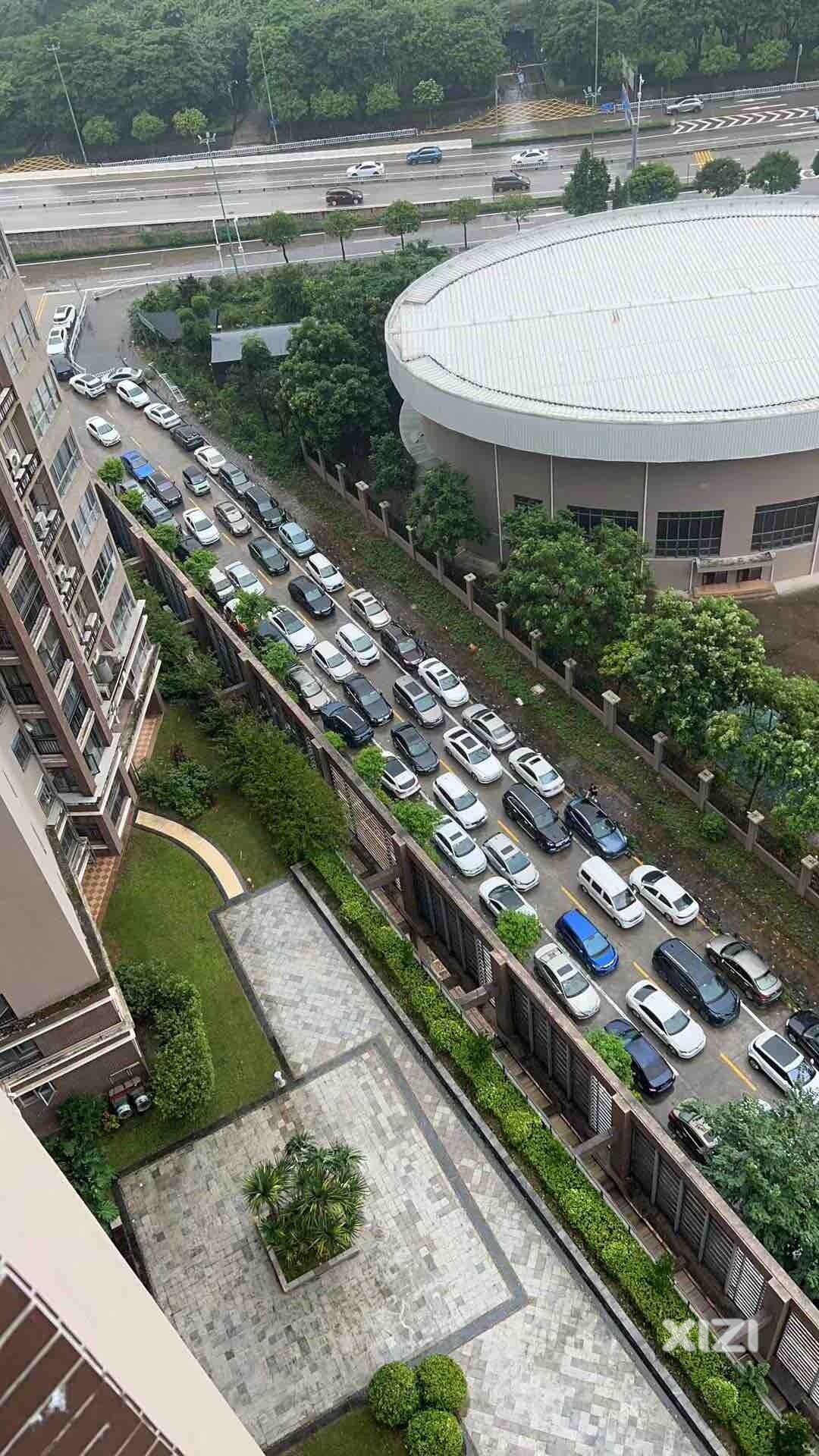 德威朗琴湾路敢停好放