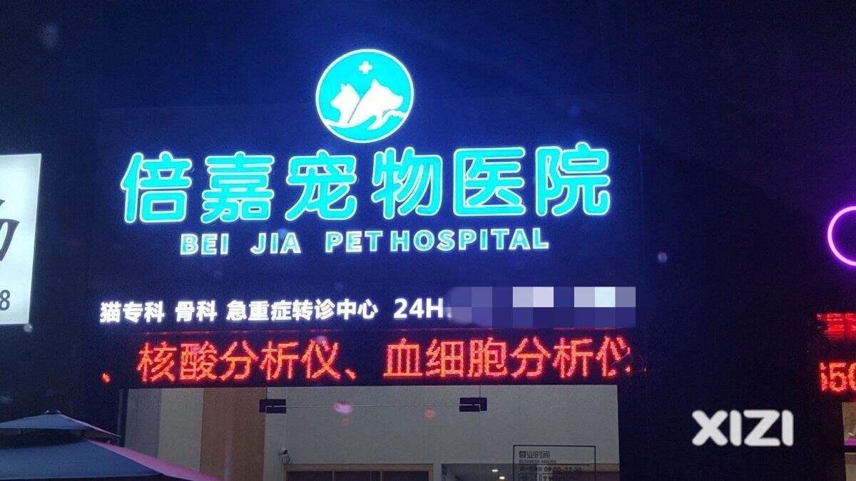 只希望让更多人看到