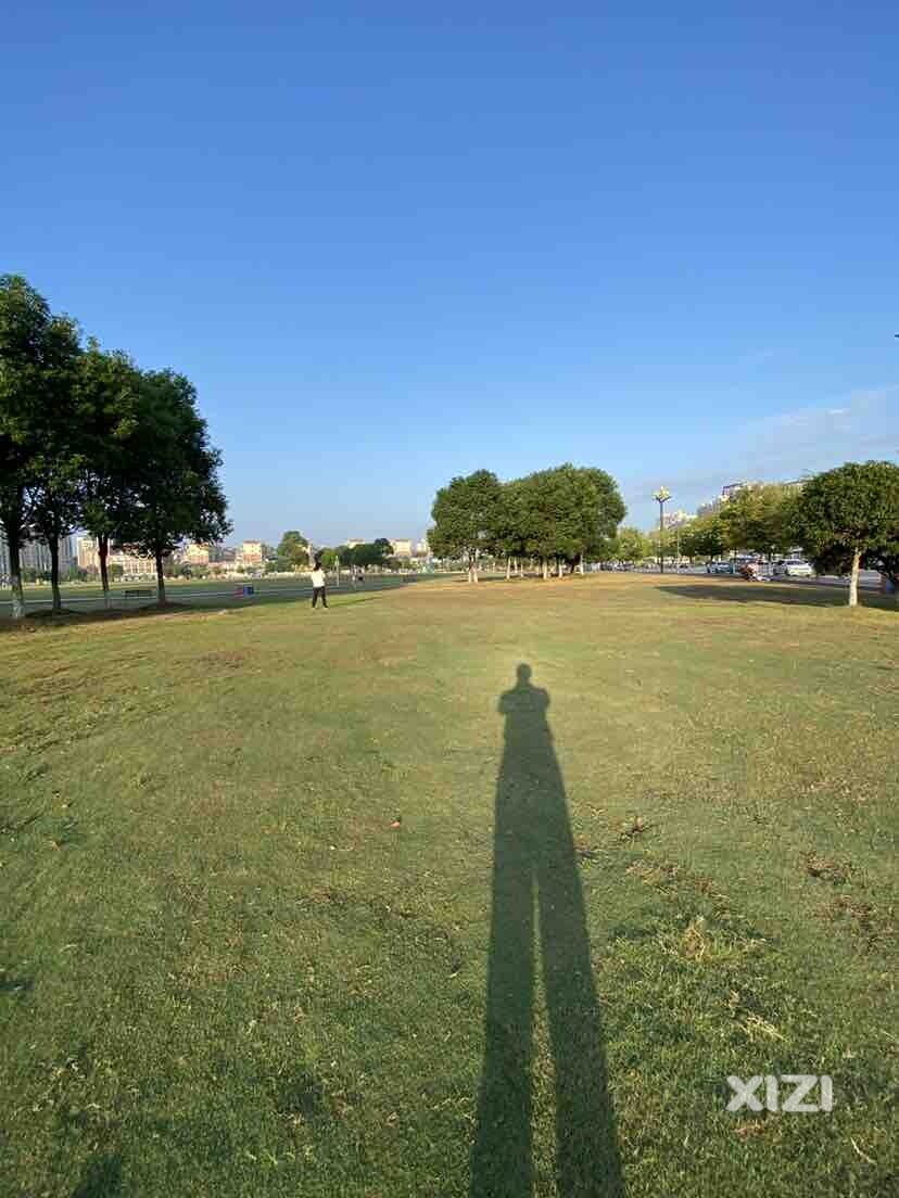 公园的早晨