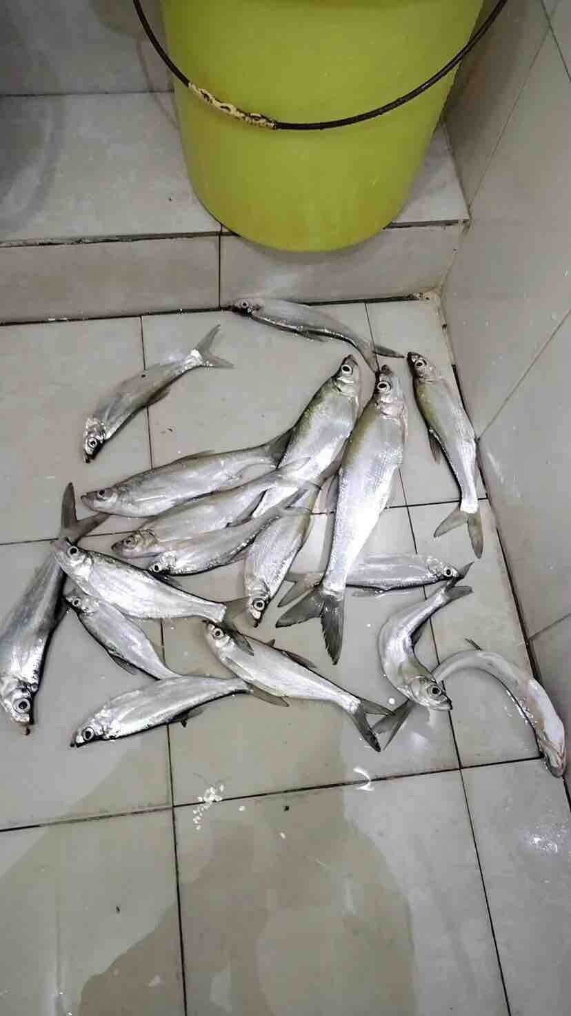好久没去夜钓了，2个