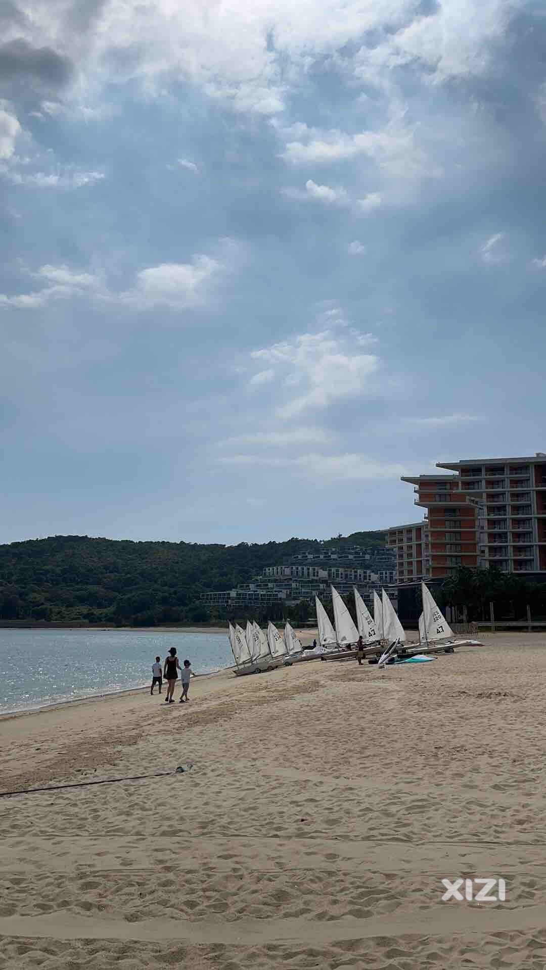 小径湾的沙滩上死鱼