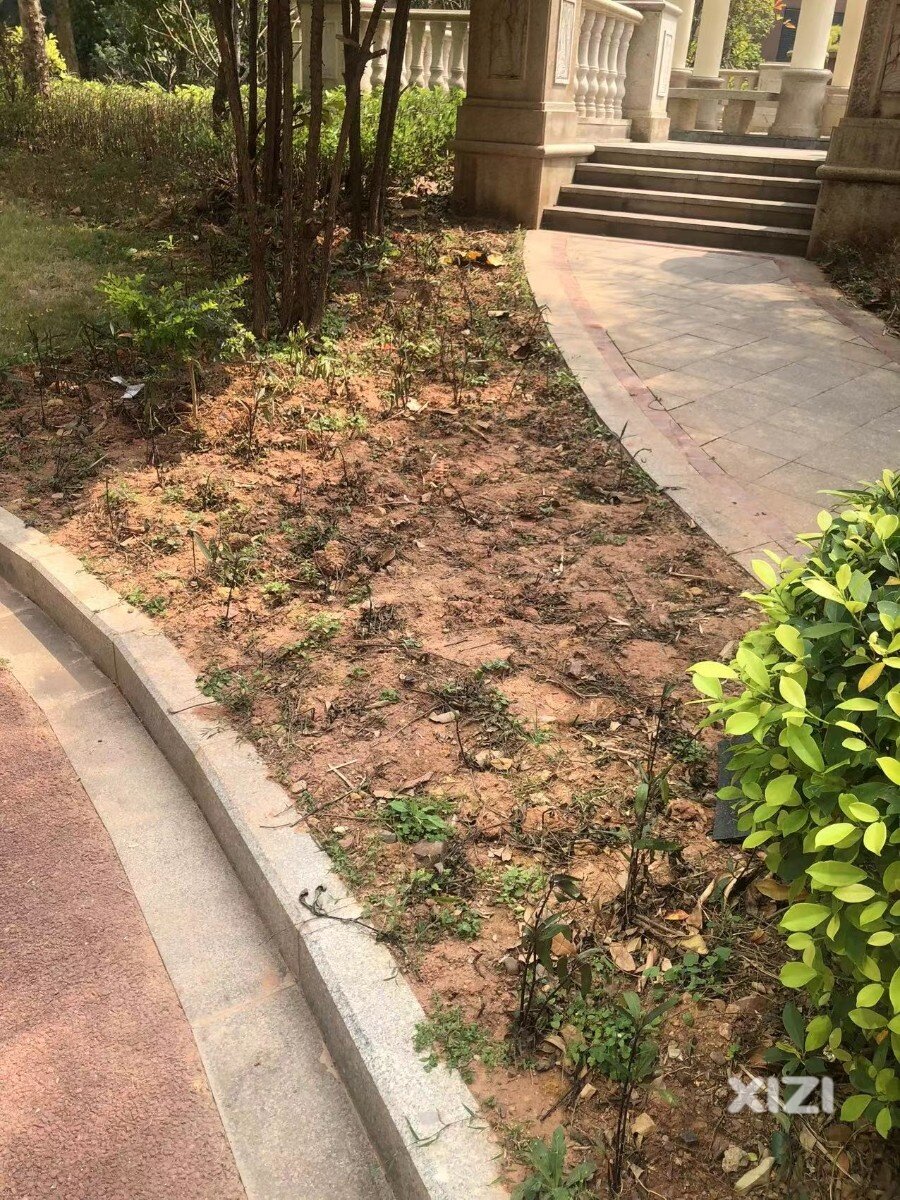惠阳老物业：彩生活的物业管理质量不敢恭维.........