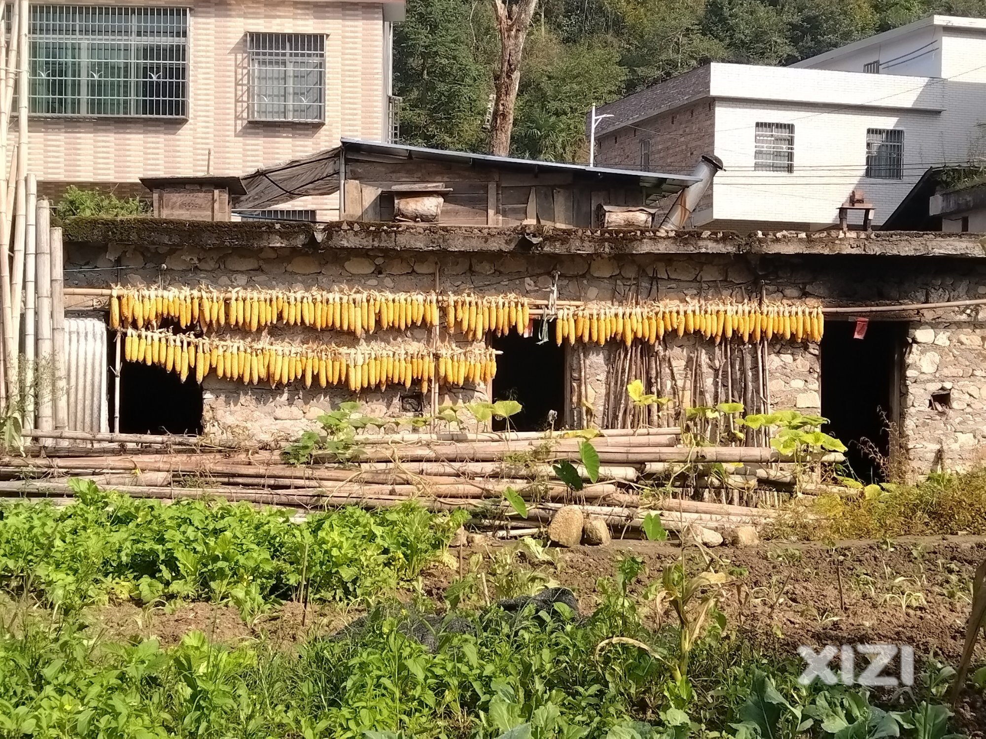 分享广东第一峰照片