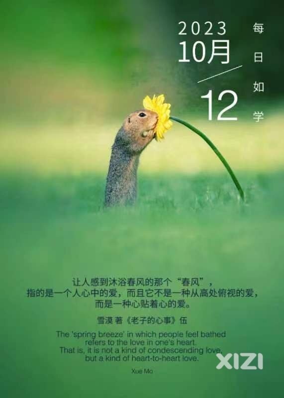 雪语1415