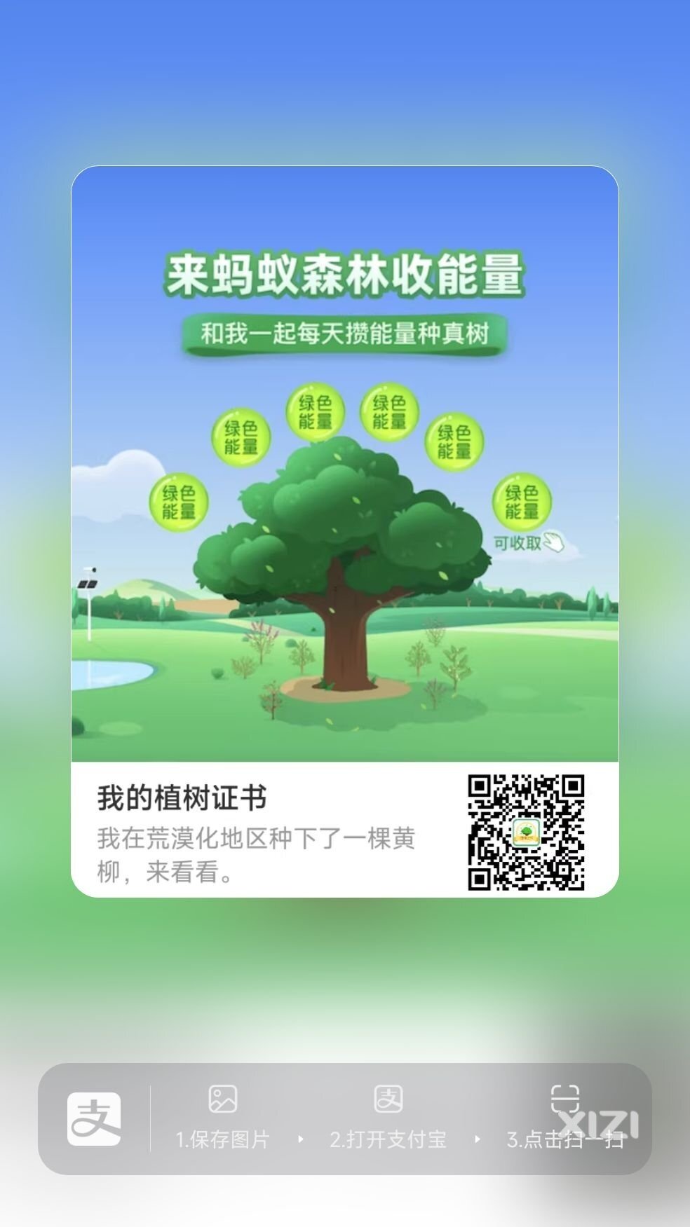 西友们有玩蚂蚁森林的吗？有兴趣一起来做公益吗？
