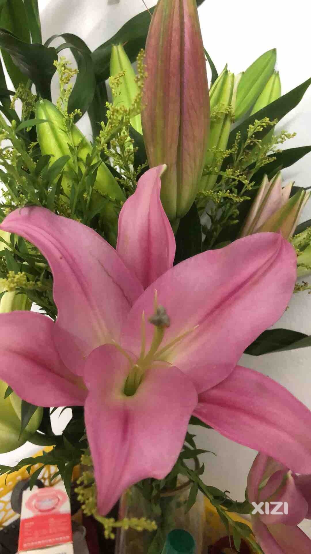 百合花开