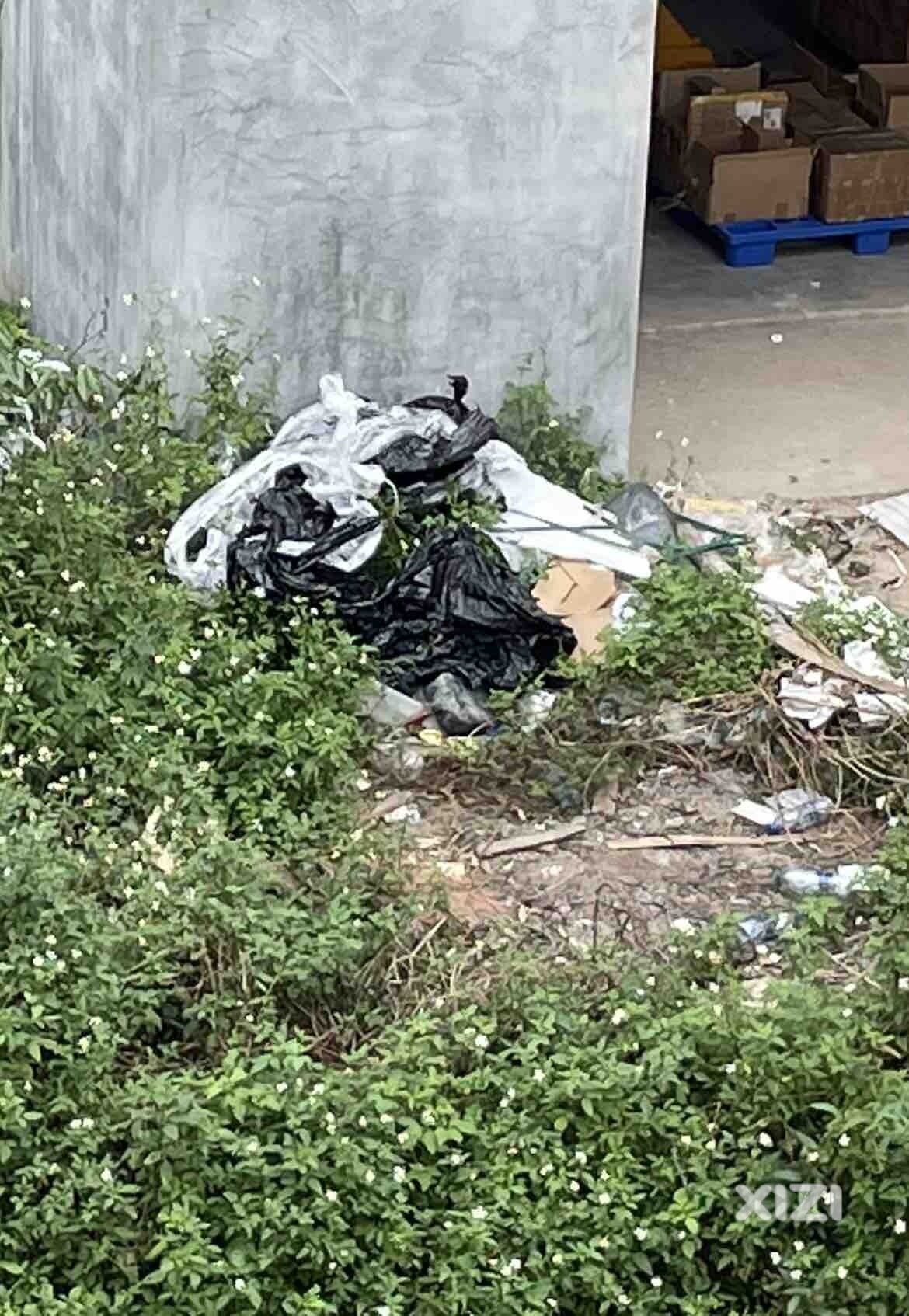 很顺手扔门口垃圾一堆堆等风吹呀吹……