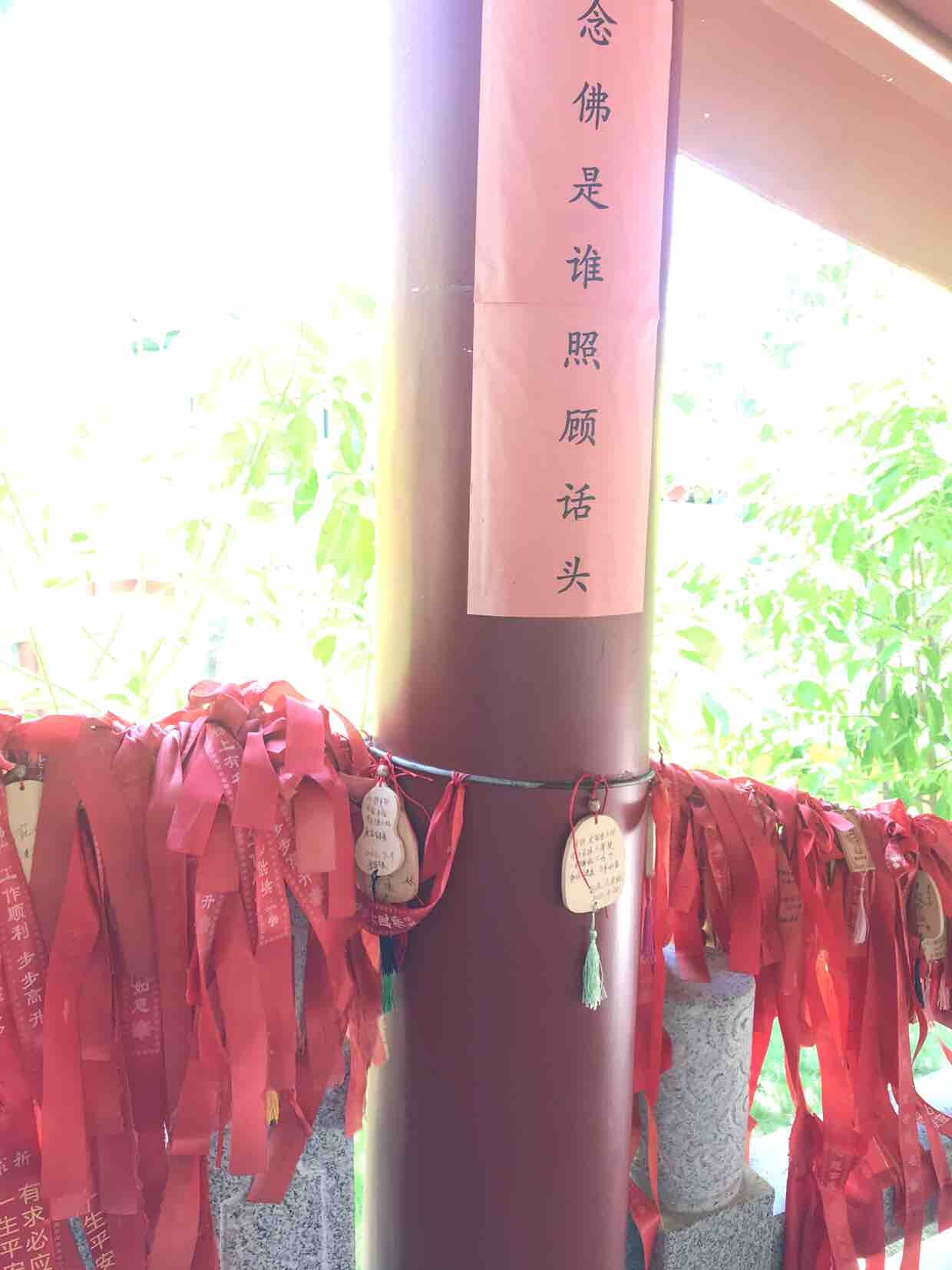 又让爸妈担心我，正缘正缘