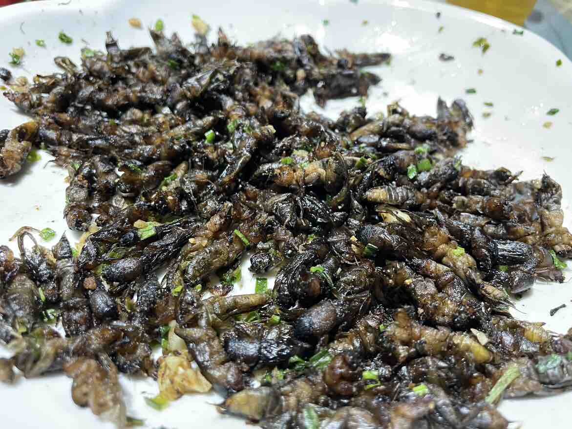 小时候经常抓来玩的“
