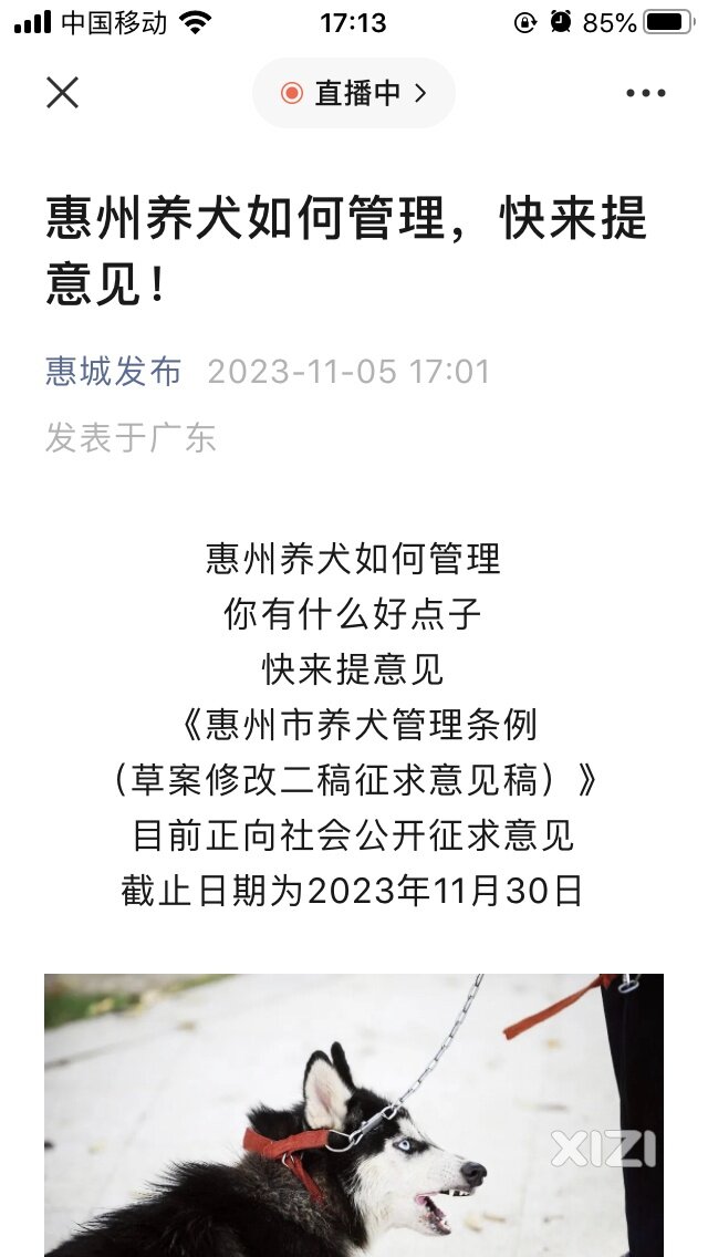 快来提建议！