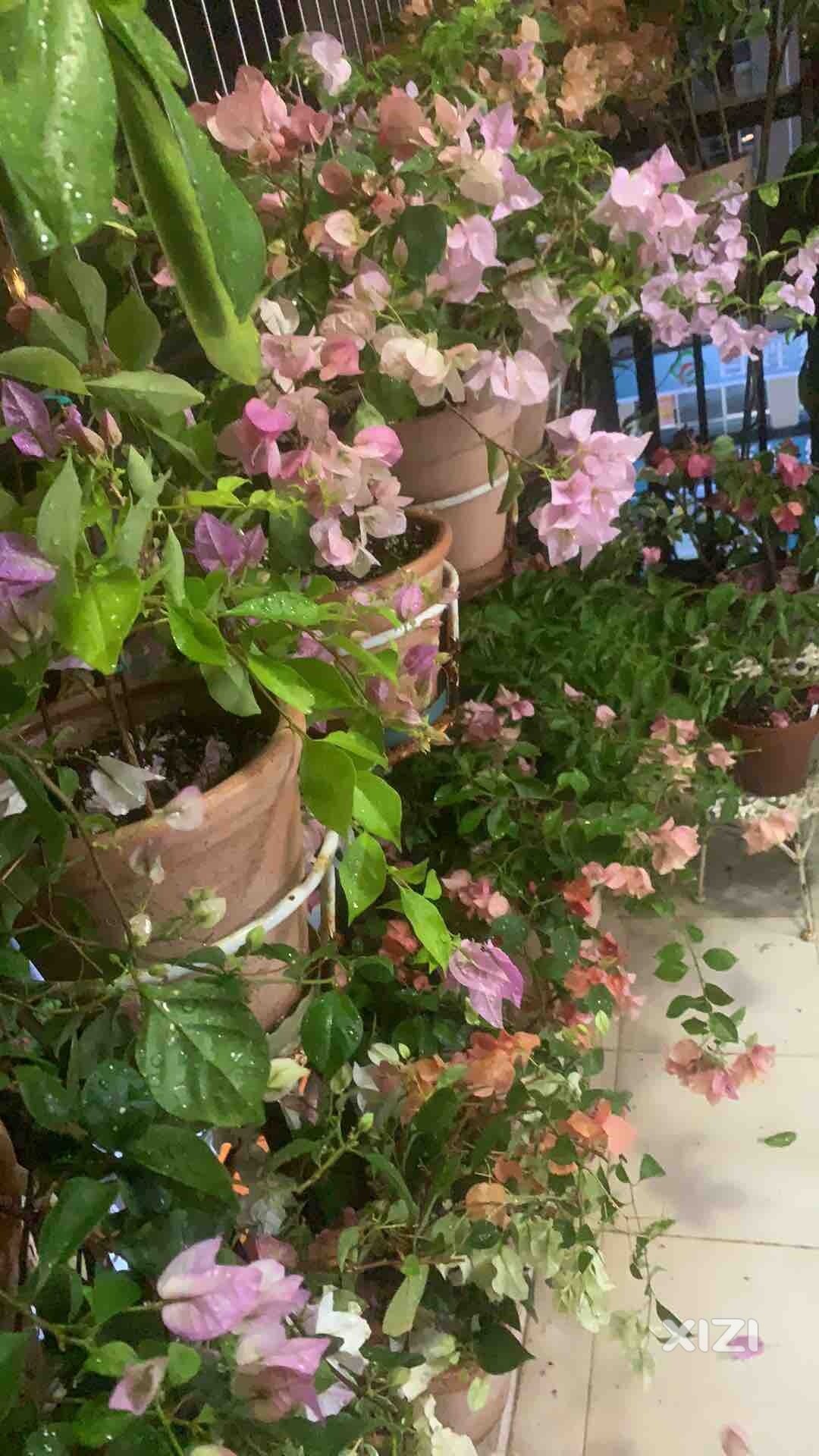 来个人工降雨吧