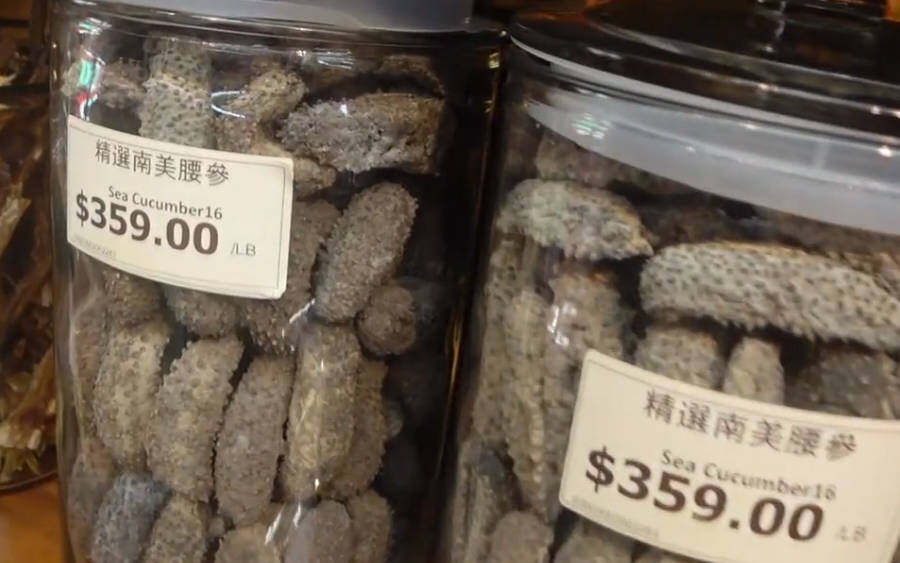 智商税的东西