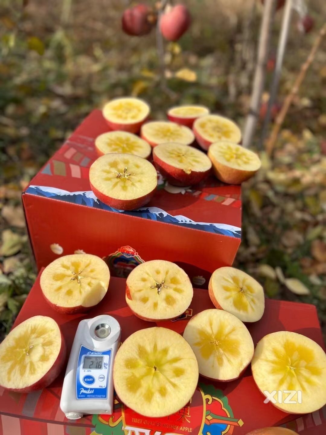 苹果