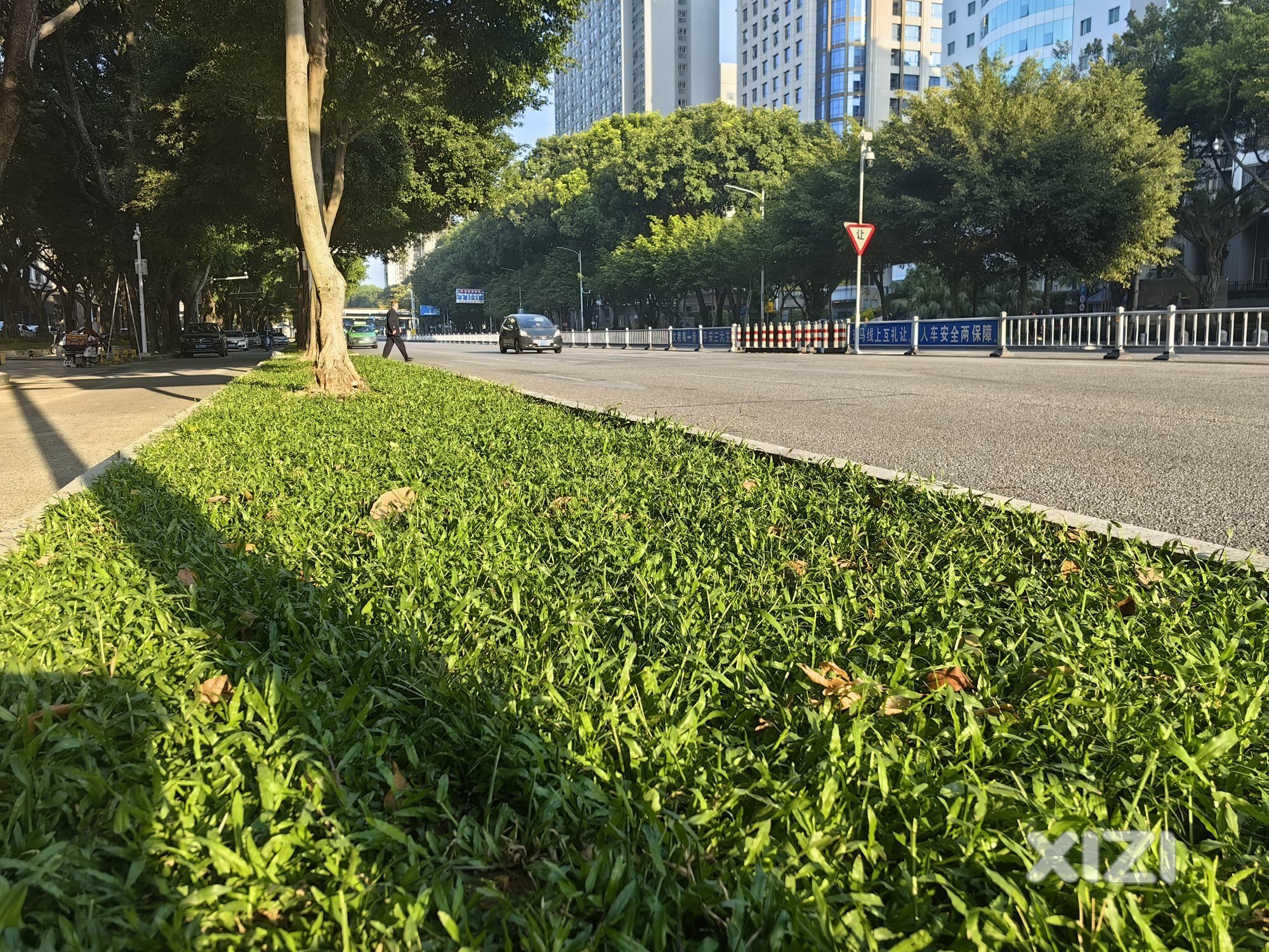 真好看