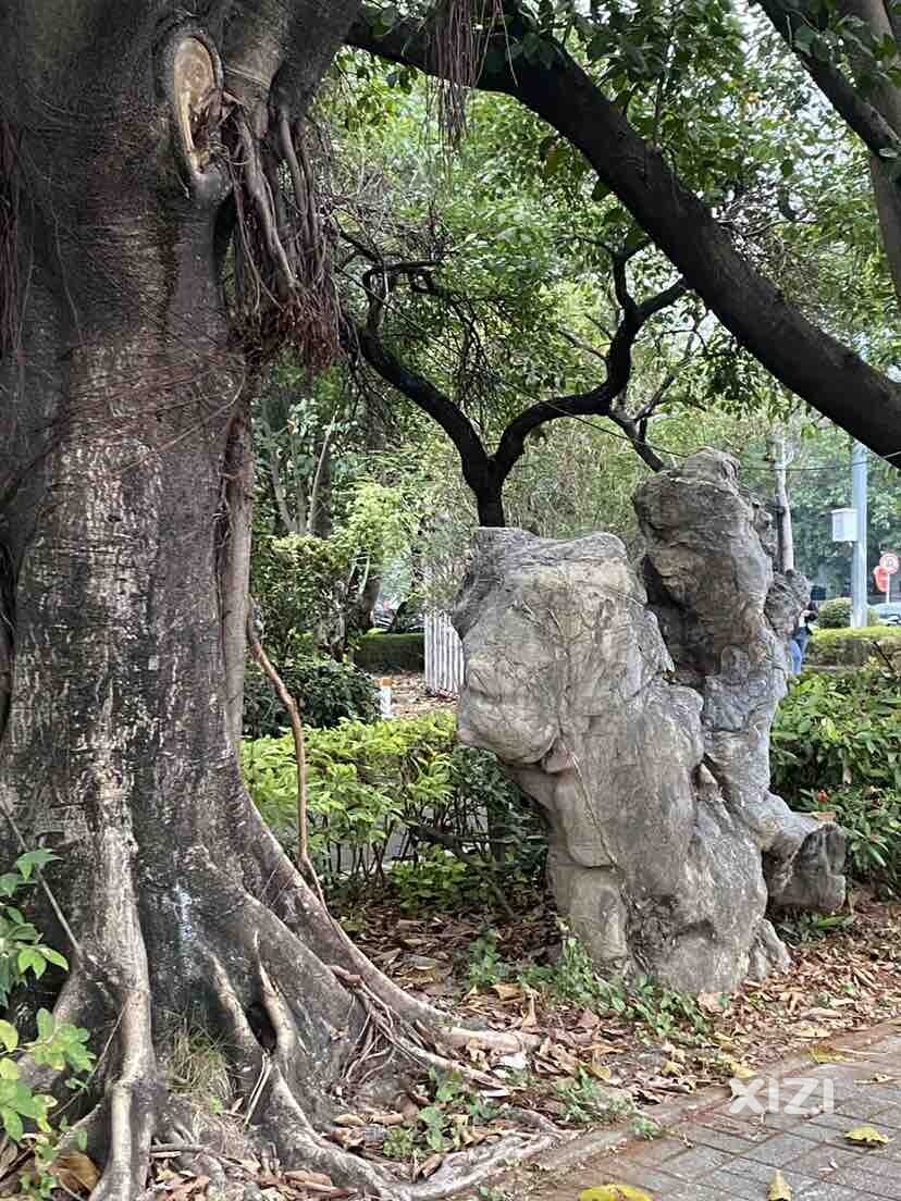 有点初冬的气息！