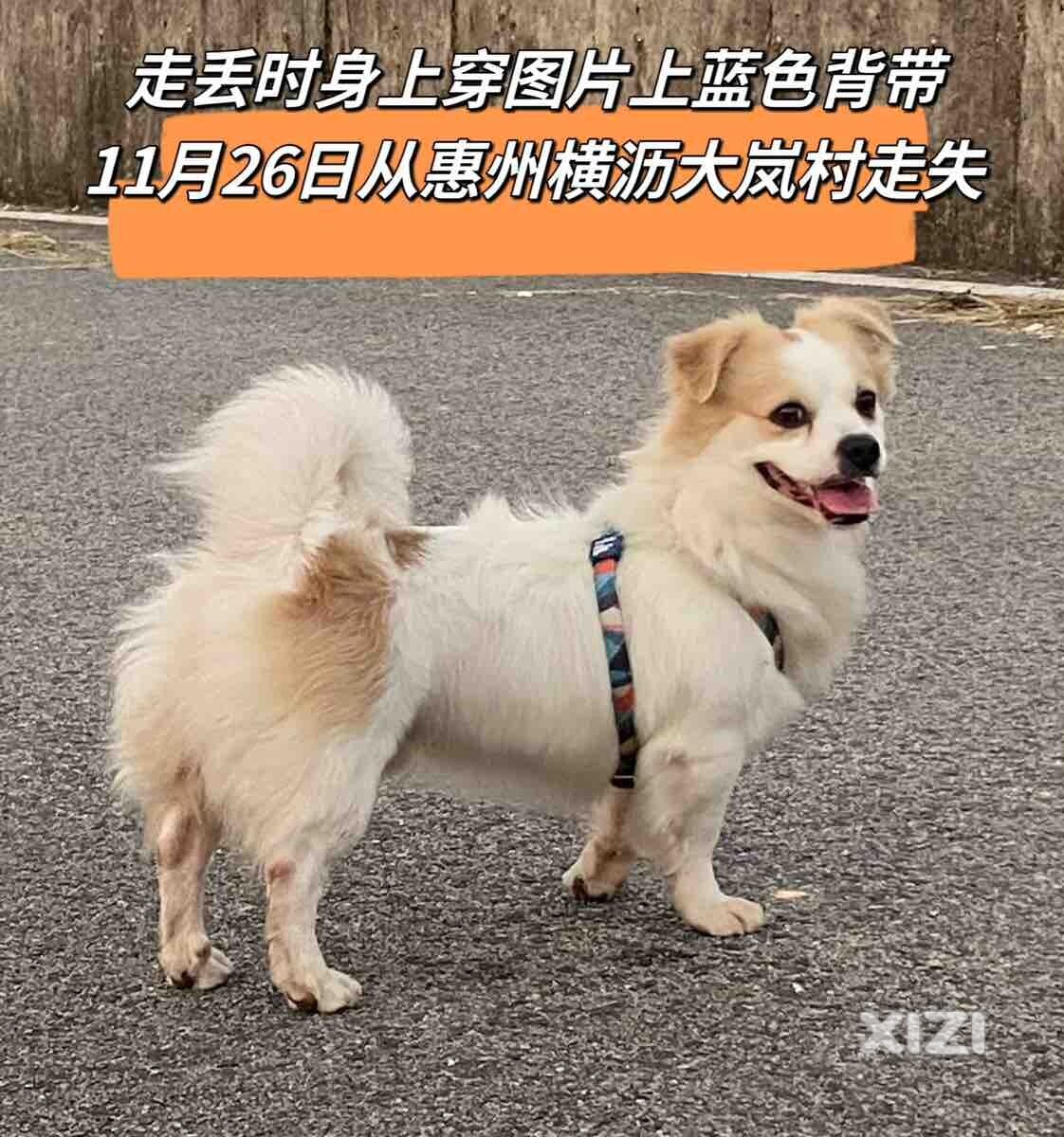 月子期间家人在11月