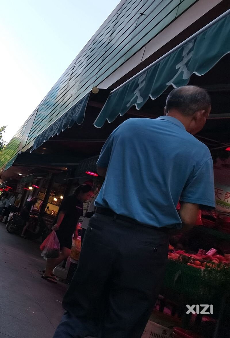 这是什么品种