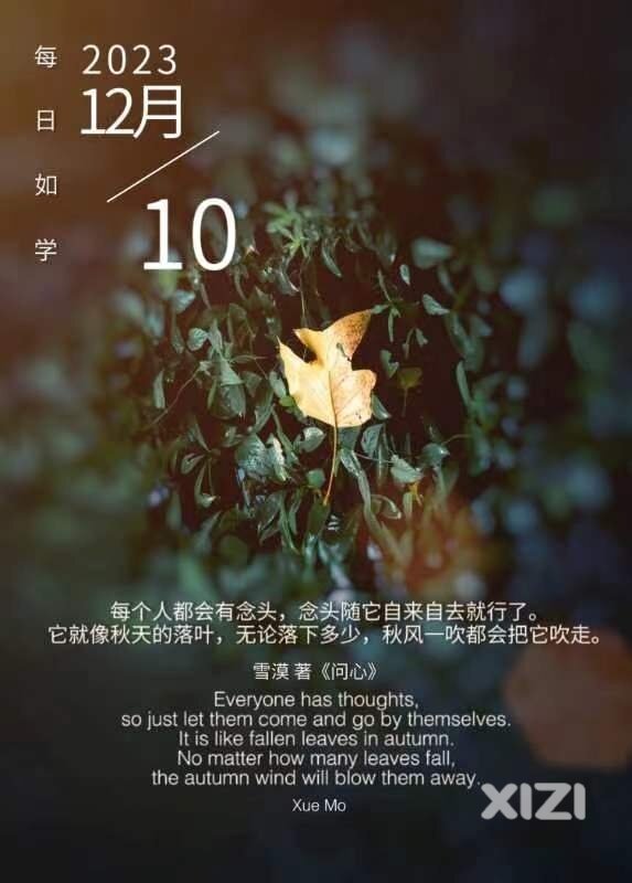 雪语1474