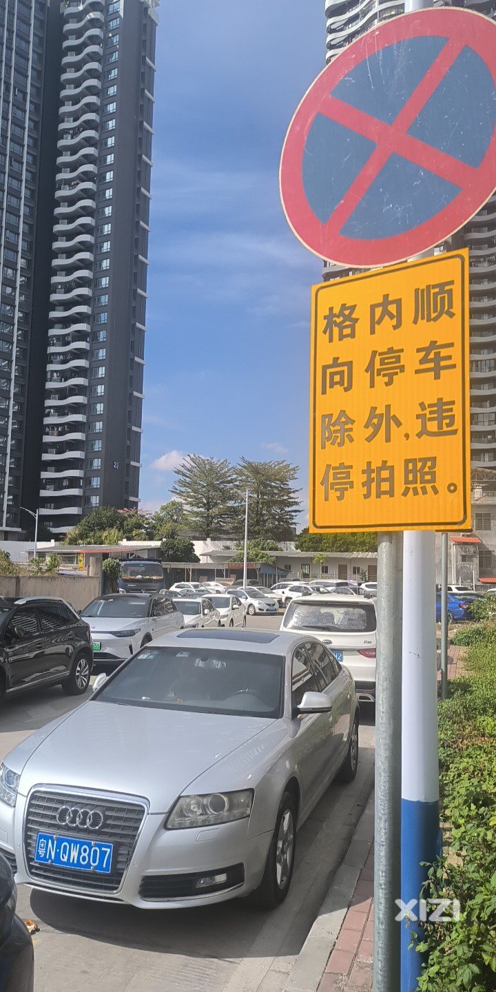 这么多车不来抄牌？