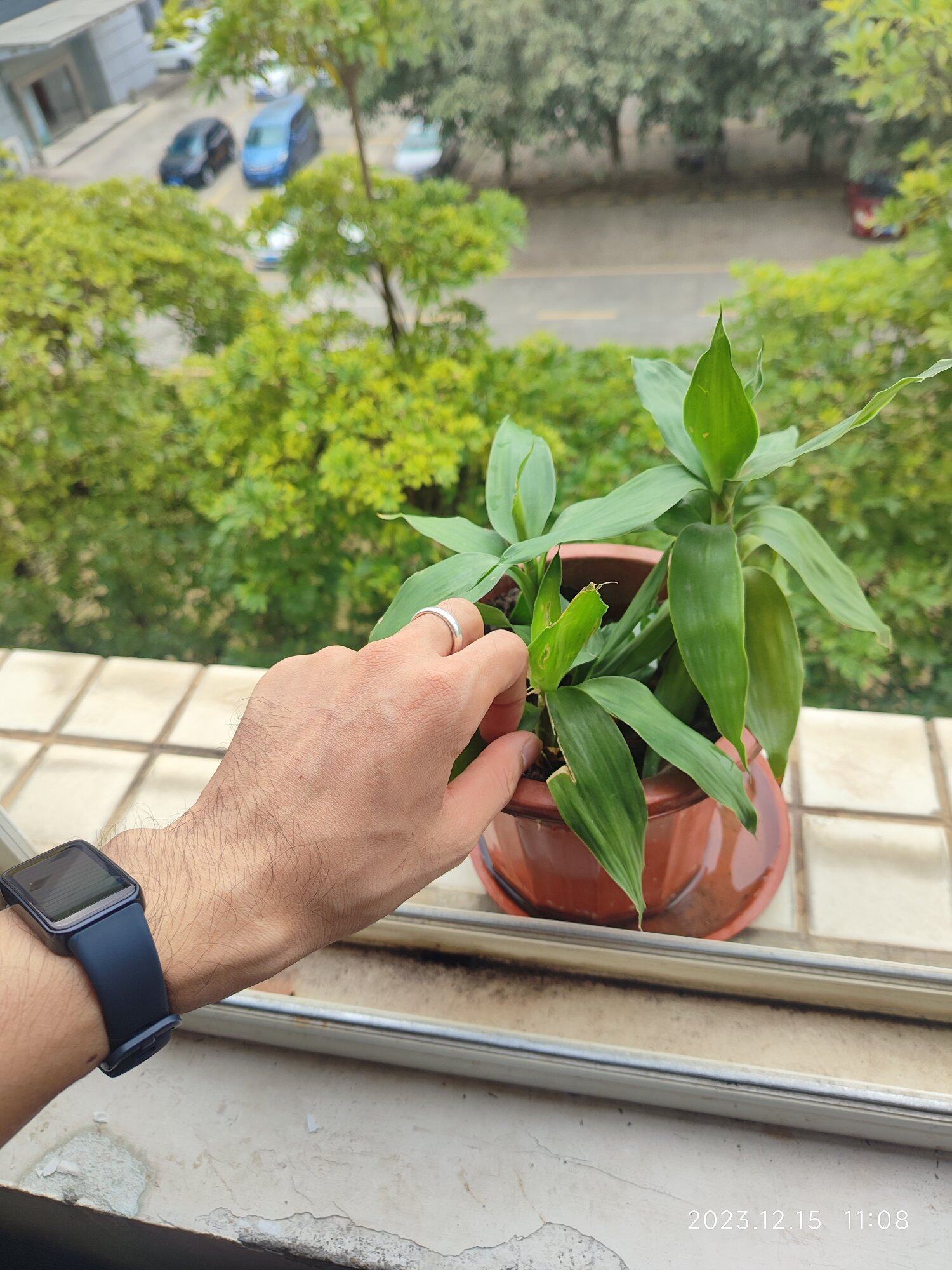 老板越来越抠门了，年终奖各种奖赏都取消
