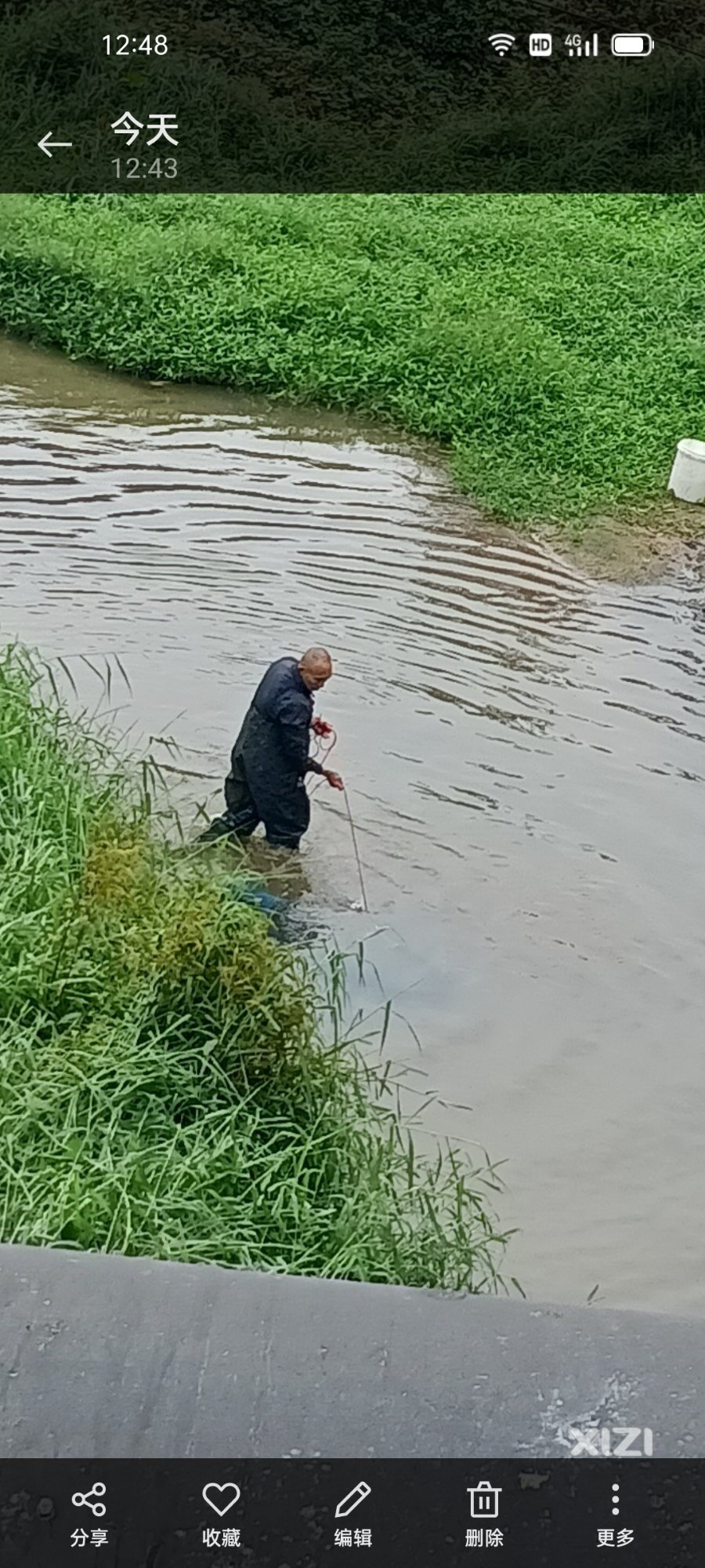 横岭水河……有人钓鱼，网鱼！