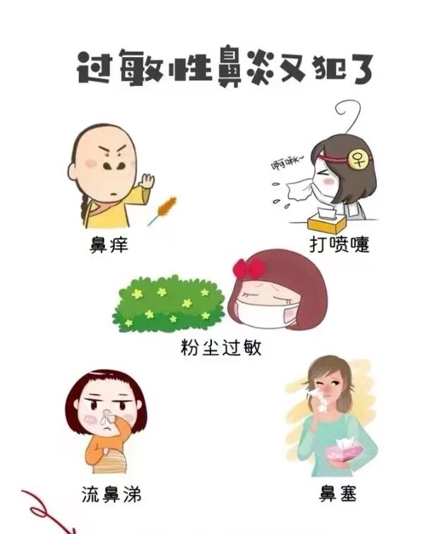 你也有过敏性鼻炎吗？点进来看看
