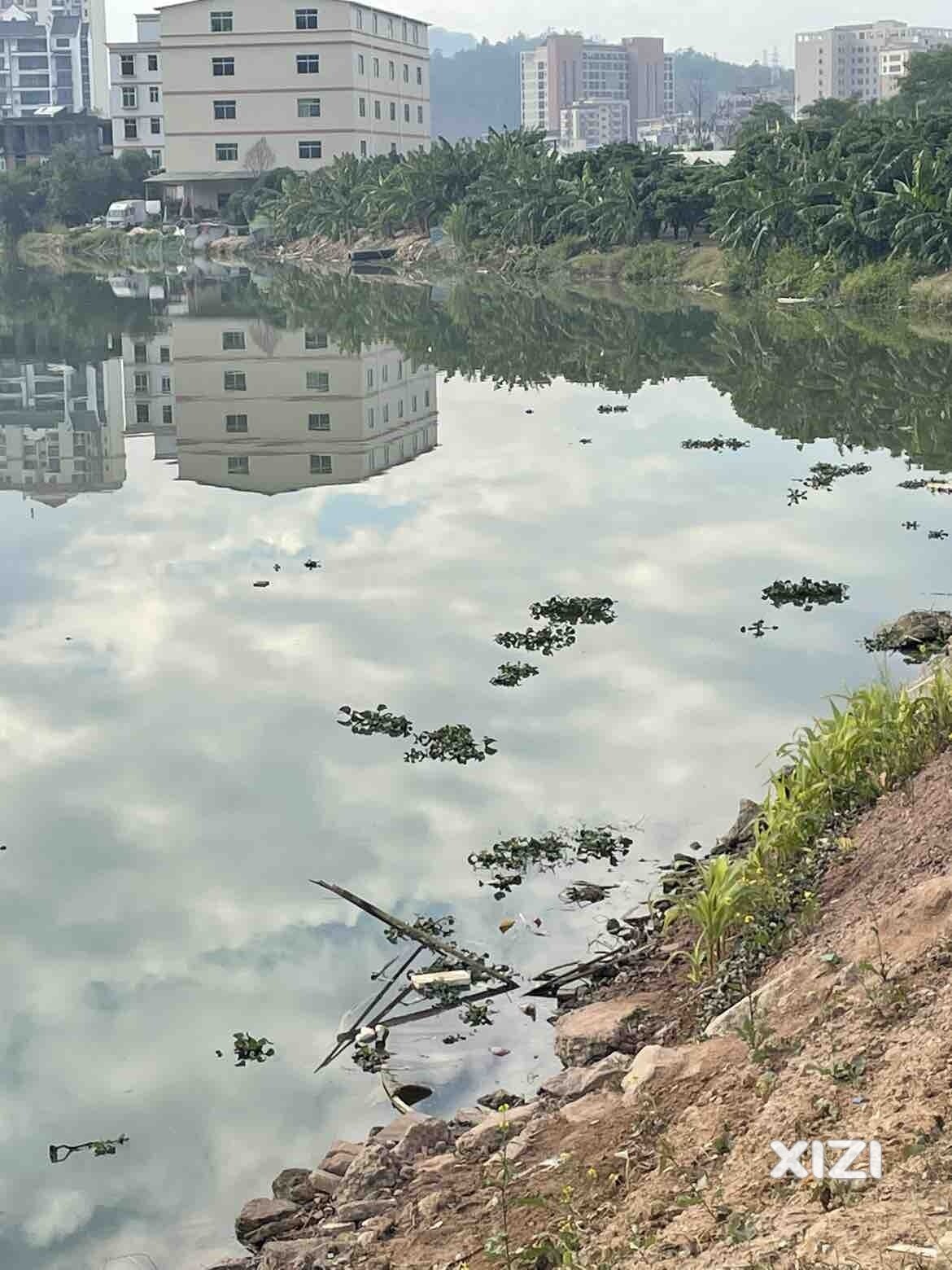 金山湖老湖的湖面长水