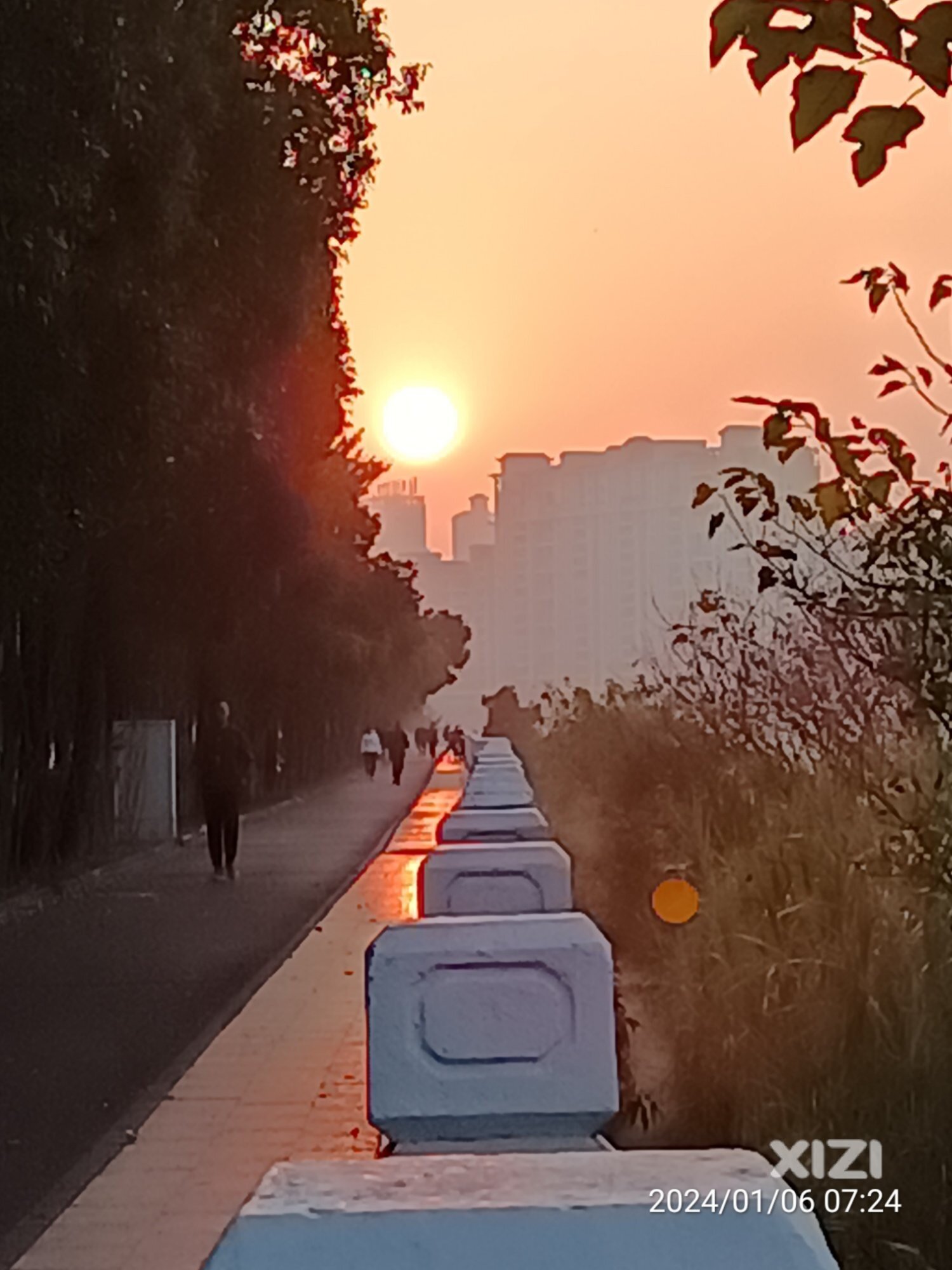 西支江边看日出