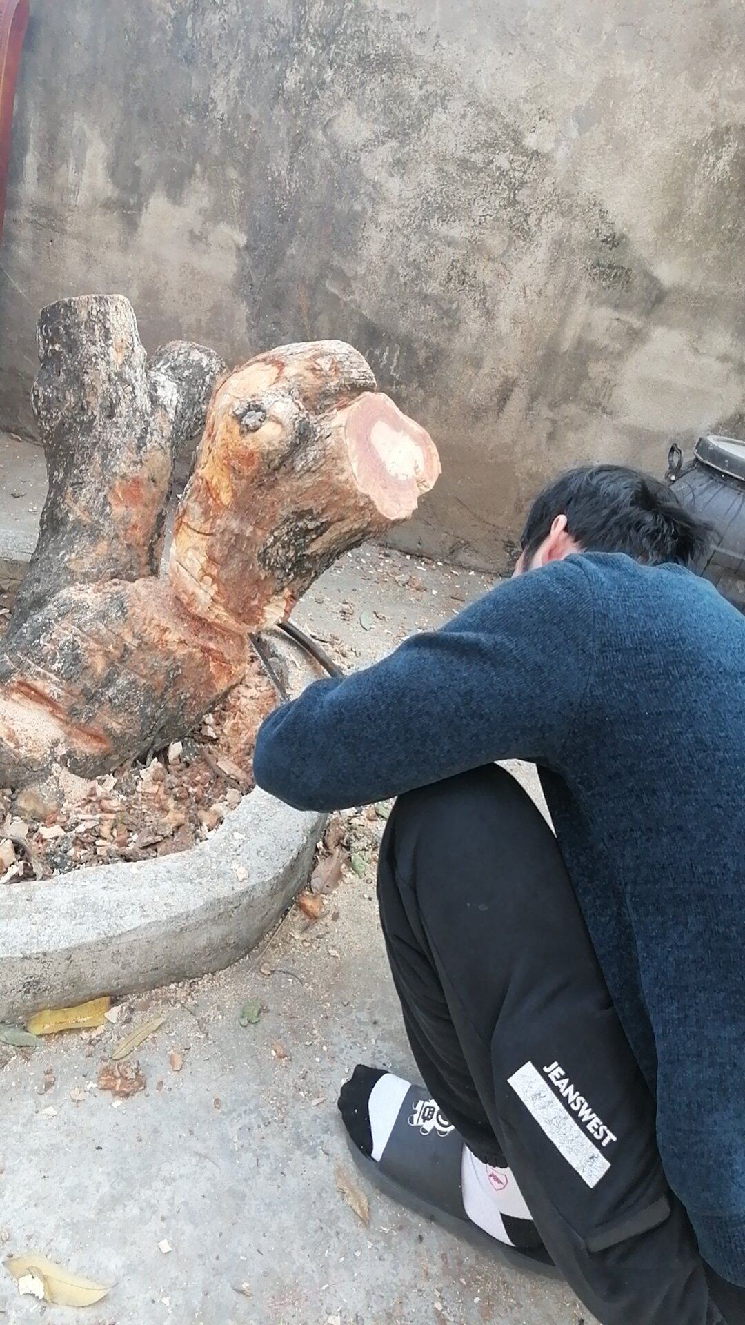 这棵树搞了我半天[变脸][无所谓]