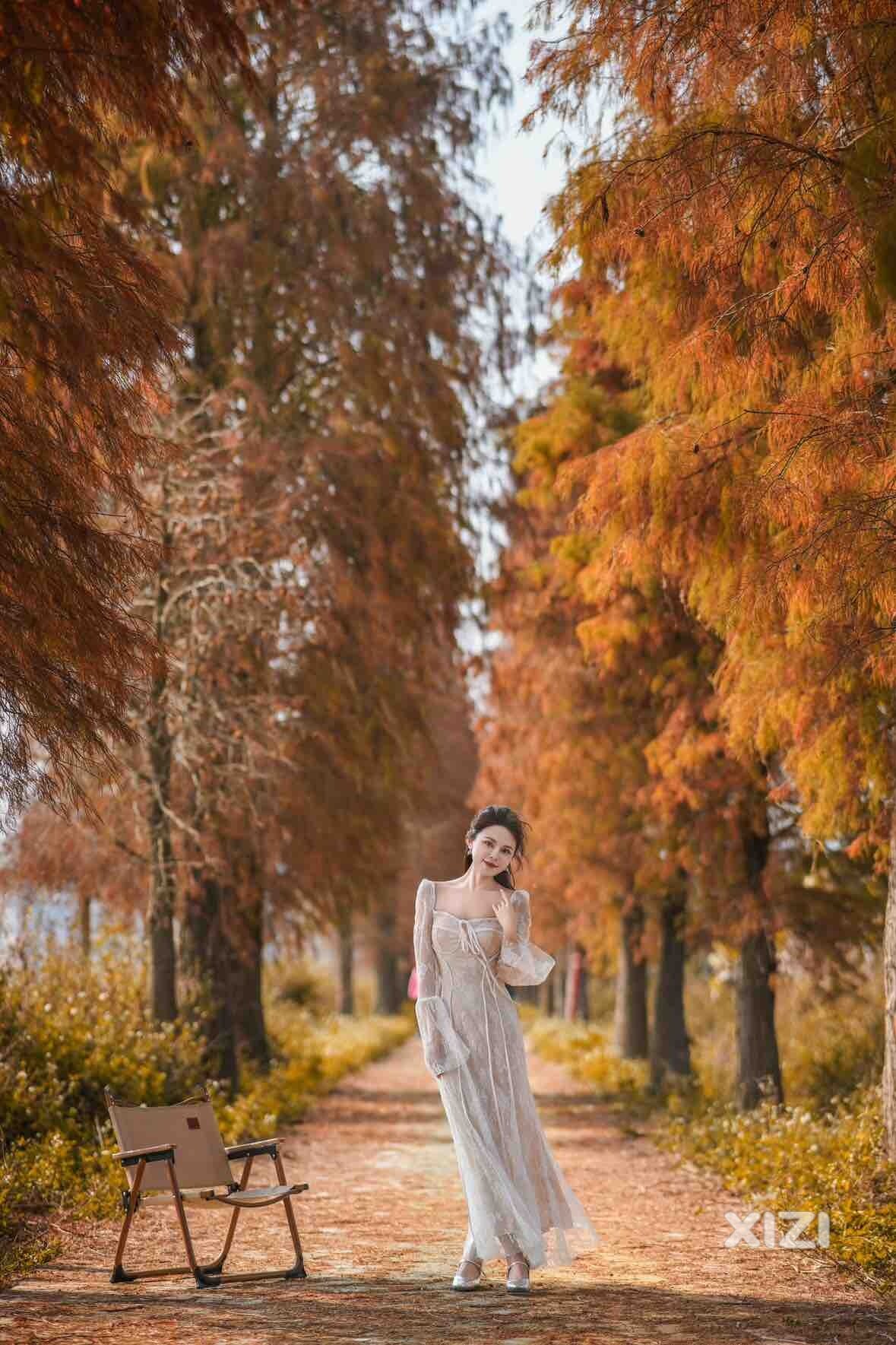 属于惠州冬天的“美拉德”，万卢村落羽杉
