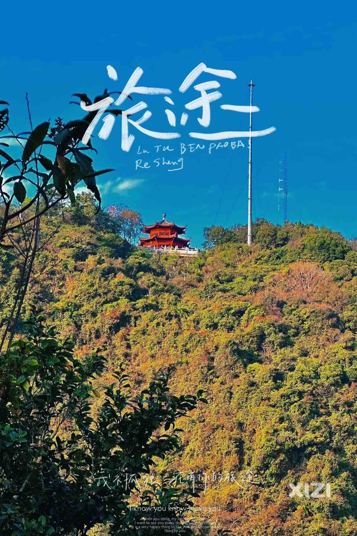 深圳爬山看猴子
